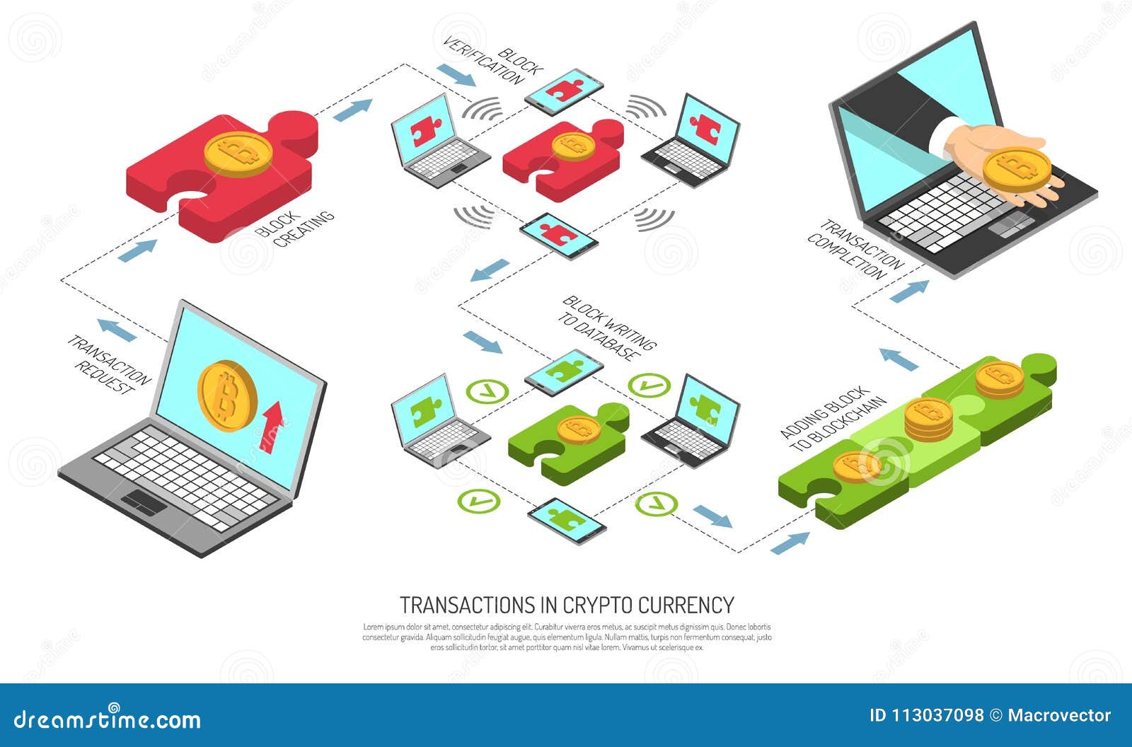 cryptocurrency transactions chart