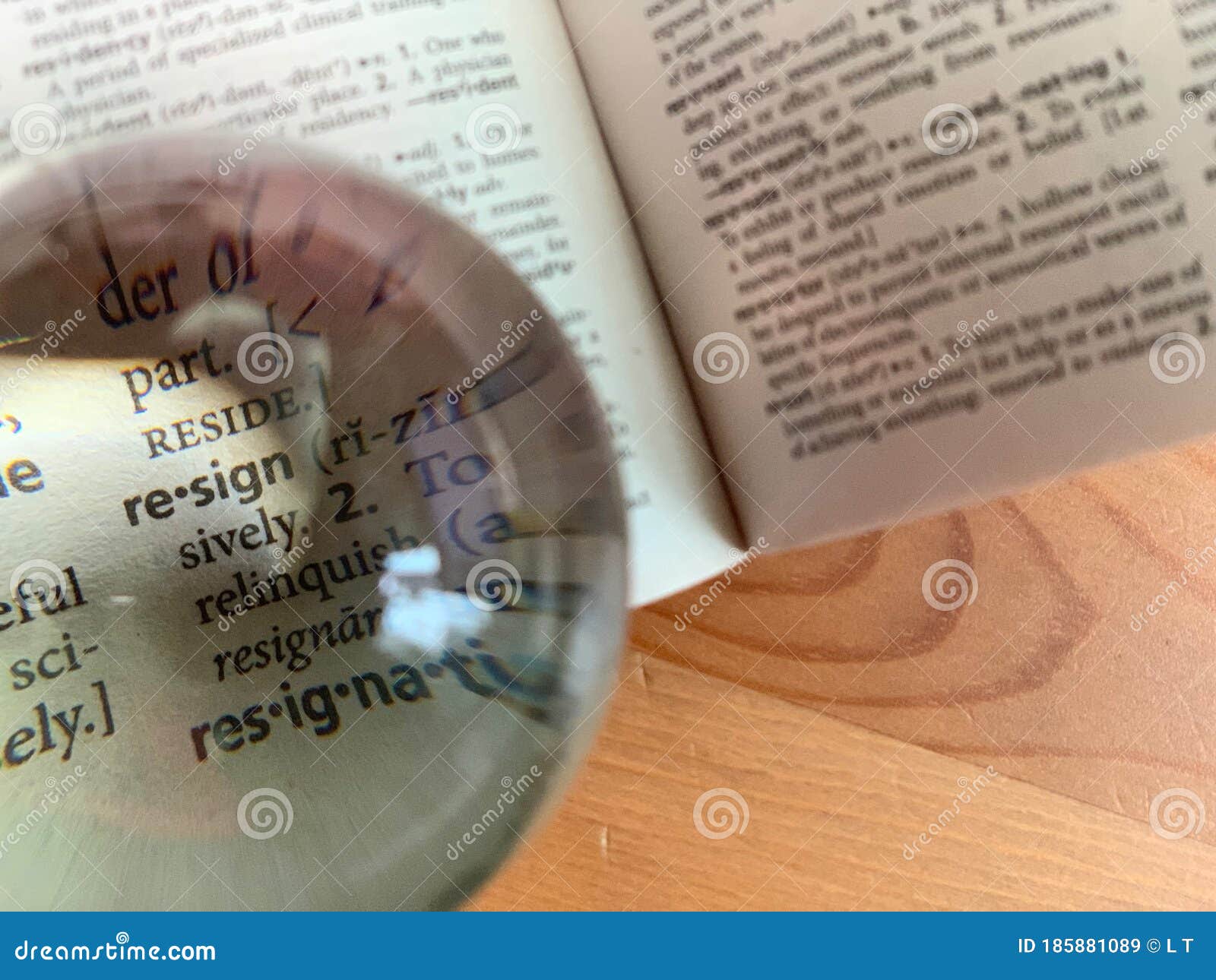 Crystal Ball on the Dictionary Stock Image Image of employment, page