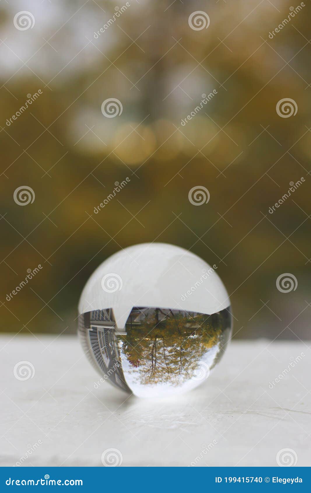 Crystal Ball for Optical Illusion. Stock Photo Image of forest