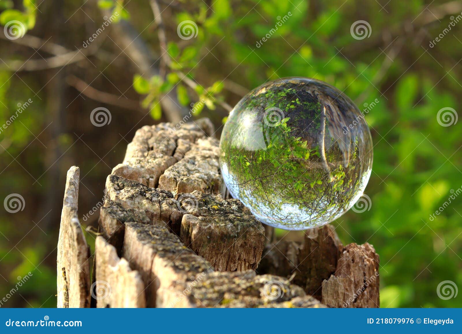 A Crystal Ball for Optical Illusion. Nature View through a Crystal Ball
