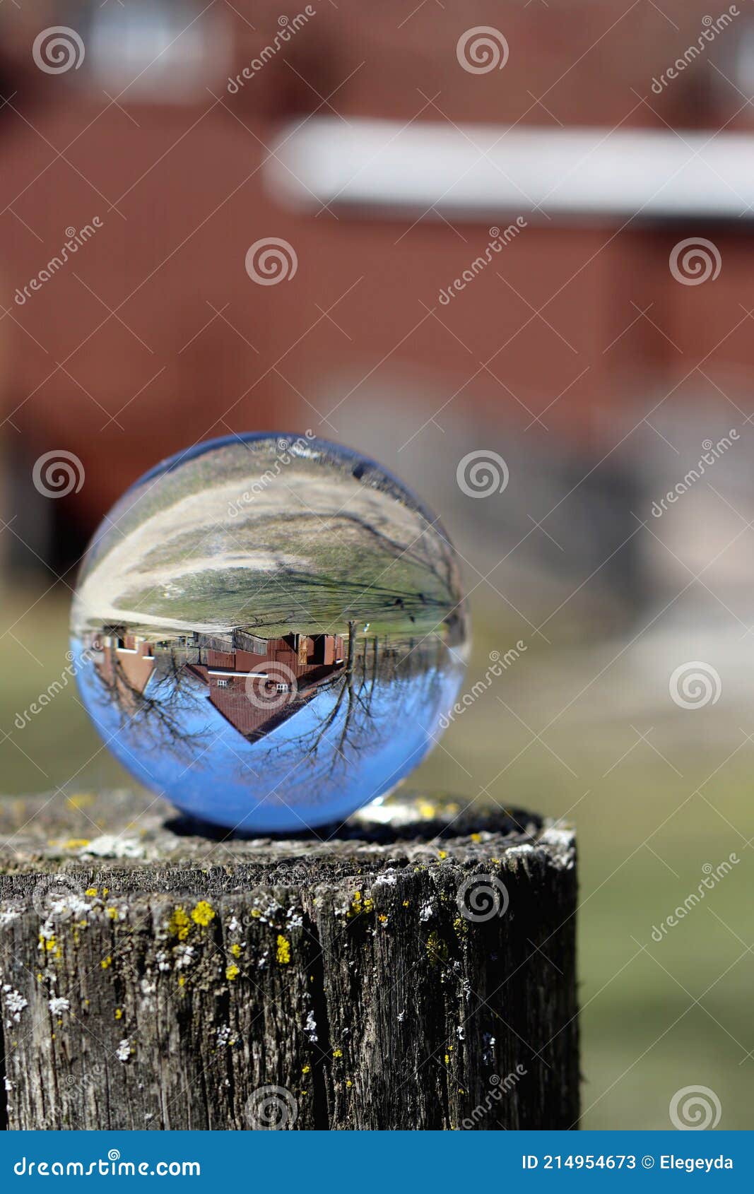 A Crystal Ball for Optical Illusion. Nature View through a Crystal Ball
