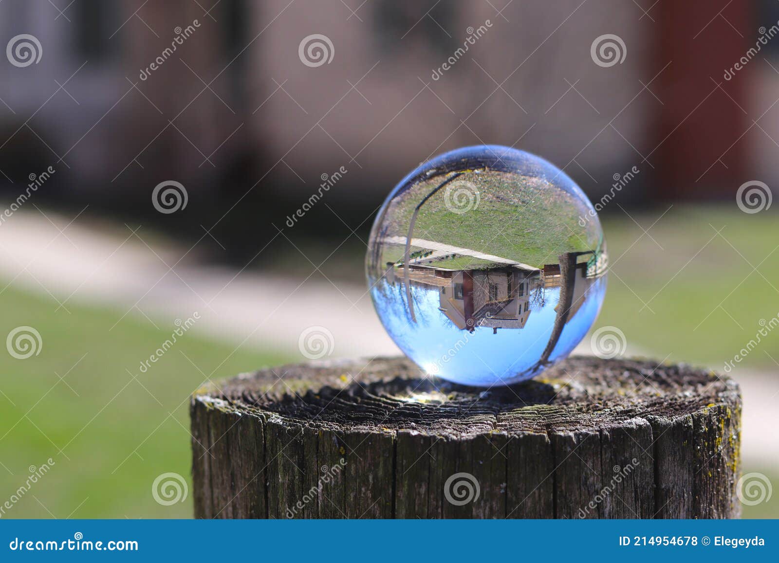 A Crystal Ball for Optical Illusion. Nature View through a Crystal Ball