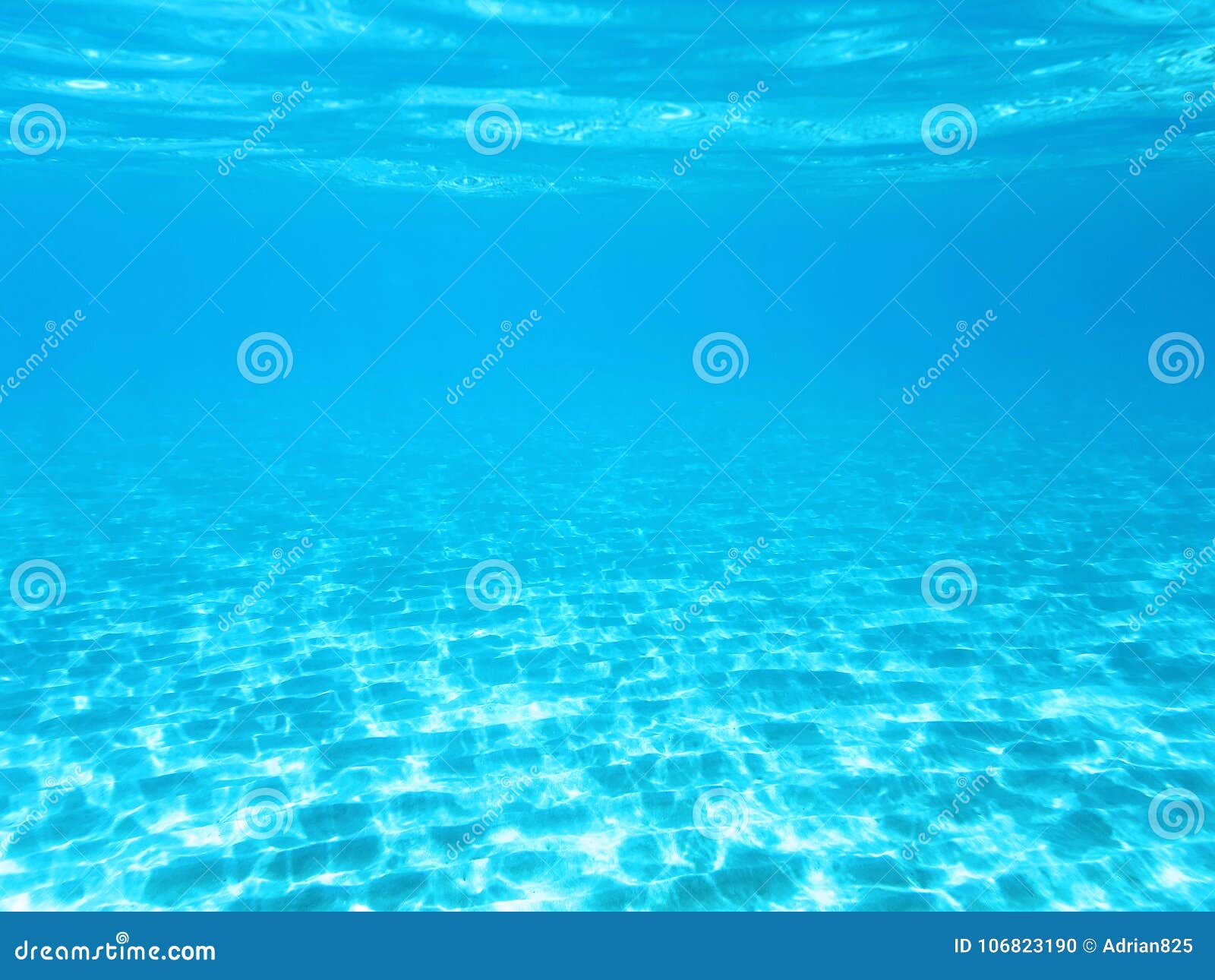 underwater wallpapers