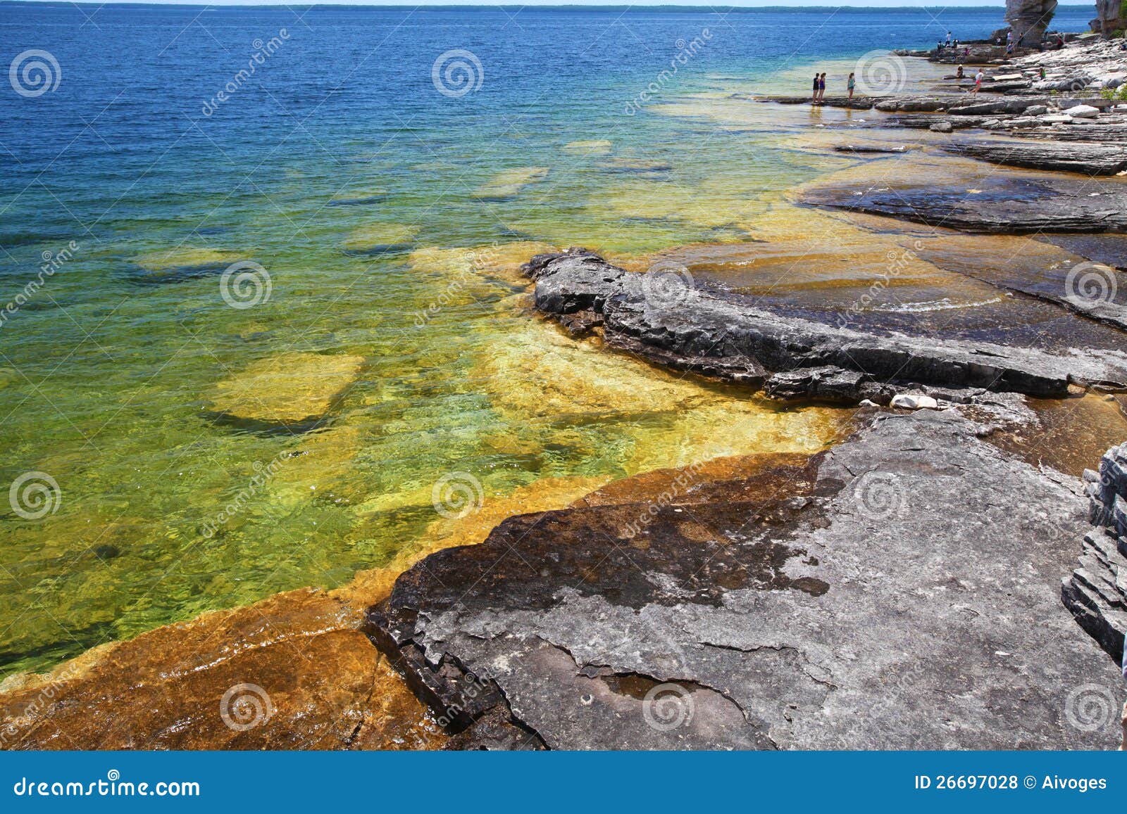 Crystal Clear Shore in Tobermory, Bay Stock Photo Image of