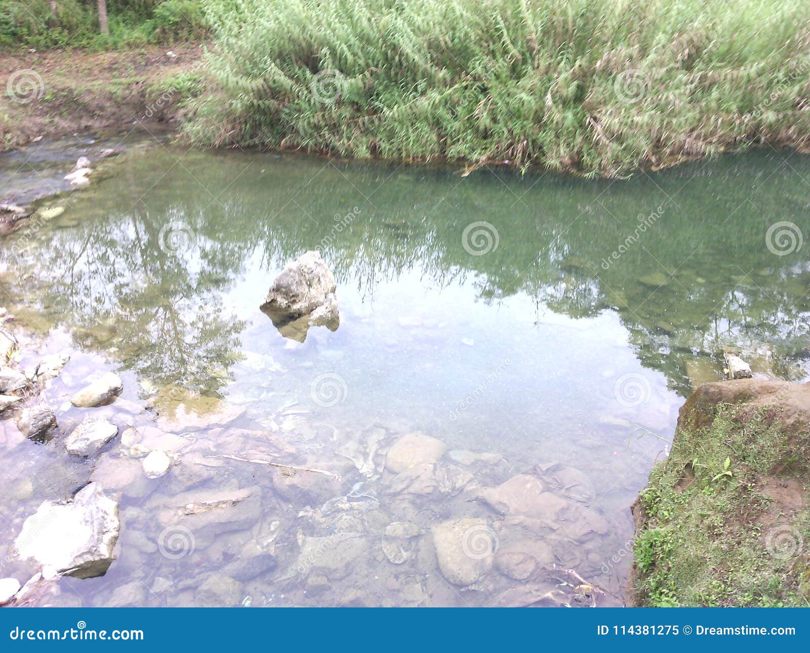 crystal clear water flowing free