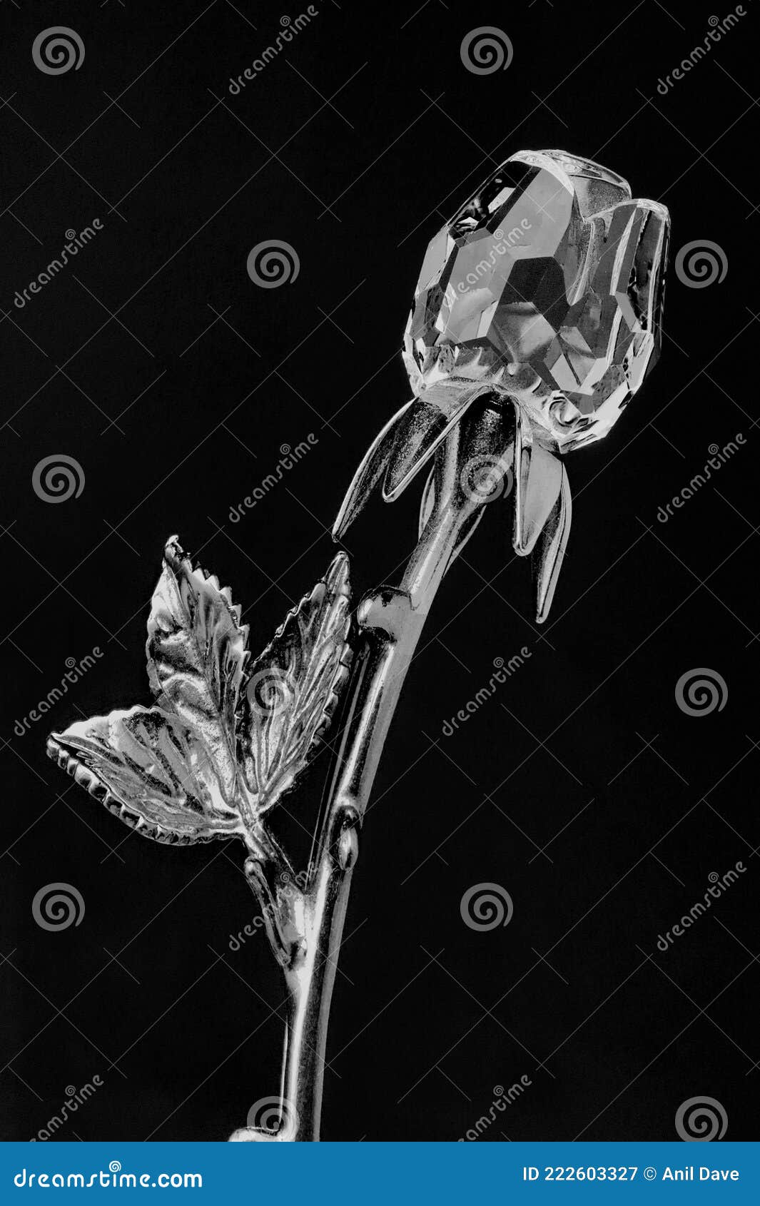 crystal glass rose flower 24k gold plated long stem on black background
