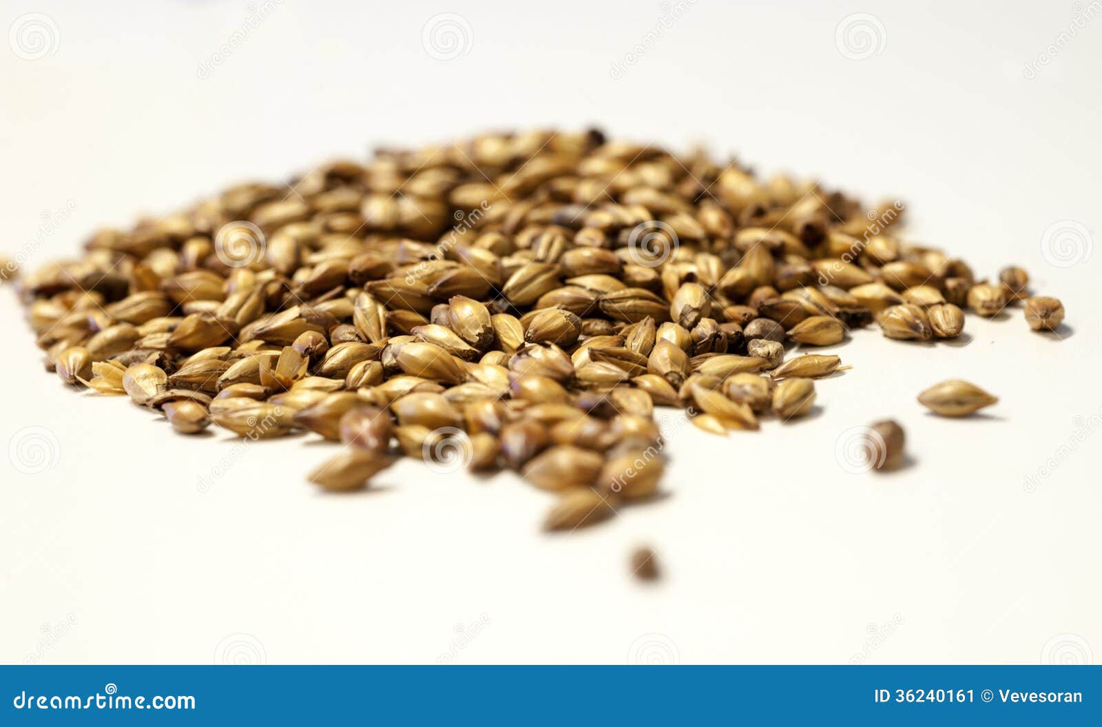 crystal malt