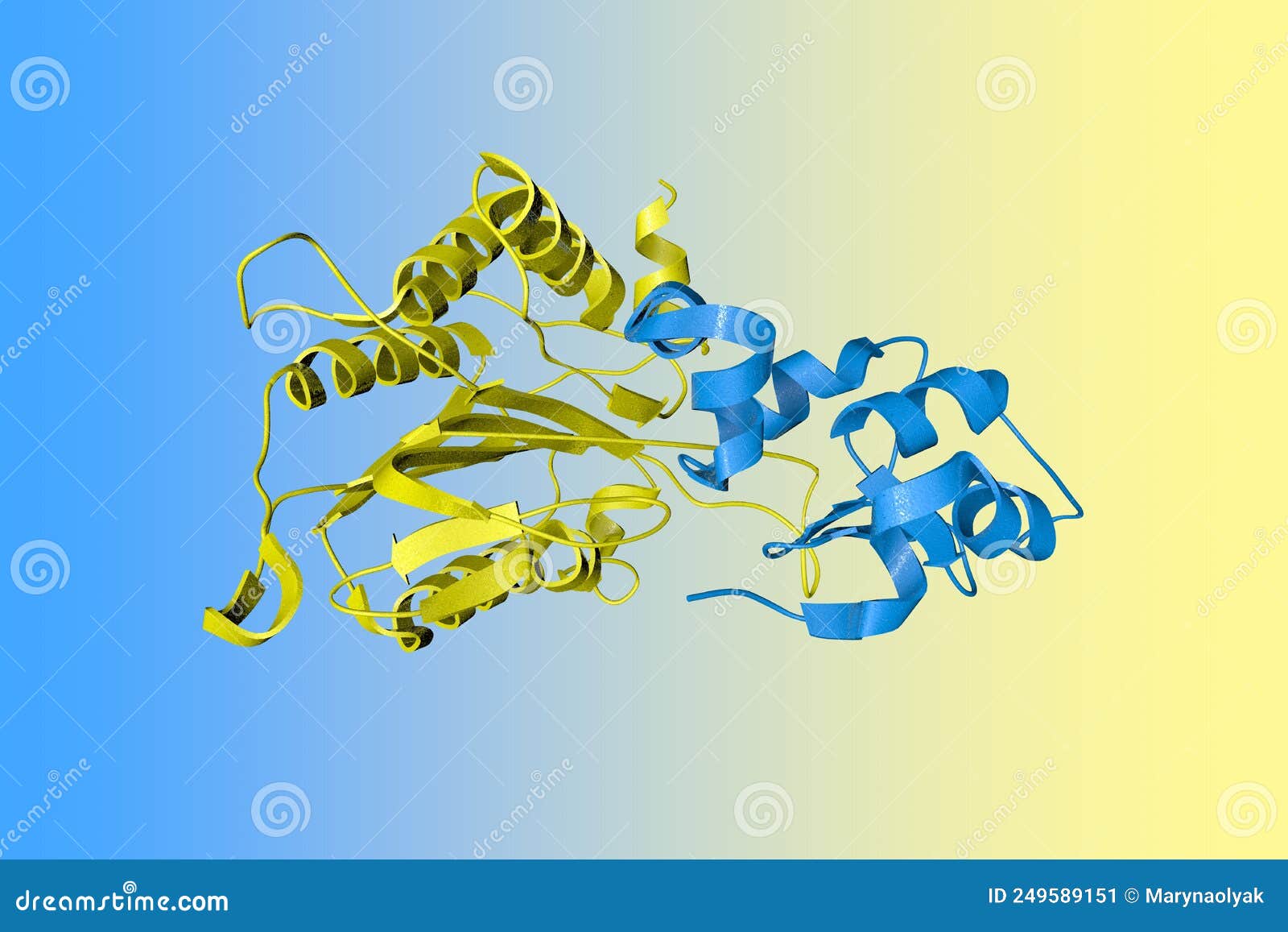 crystal structure of caspase-9 in an inhibitory complex with xiap-bir3. ribbons diagram with differently colored protein
