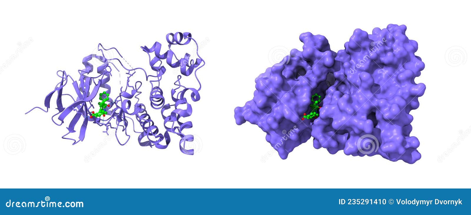 crystal structure of human jnk3 complexed with an isoquinolone inhibitor