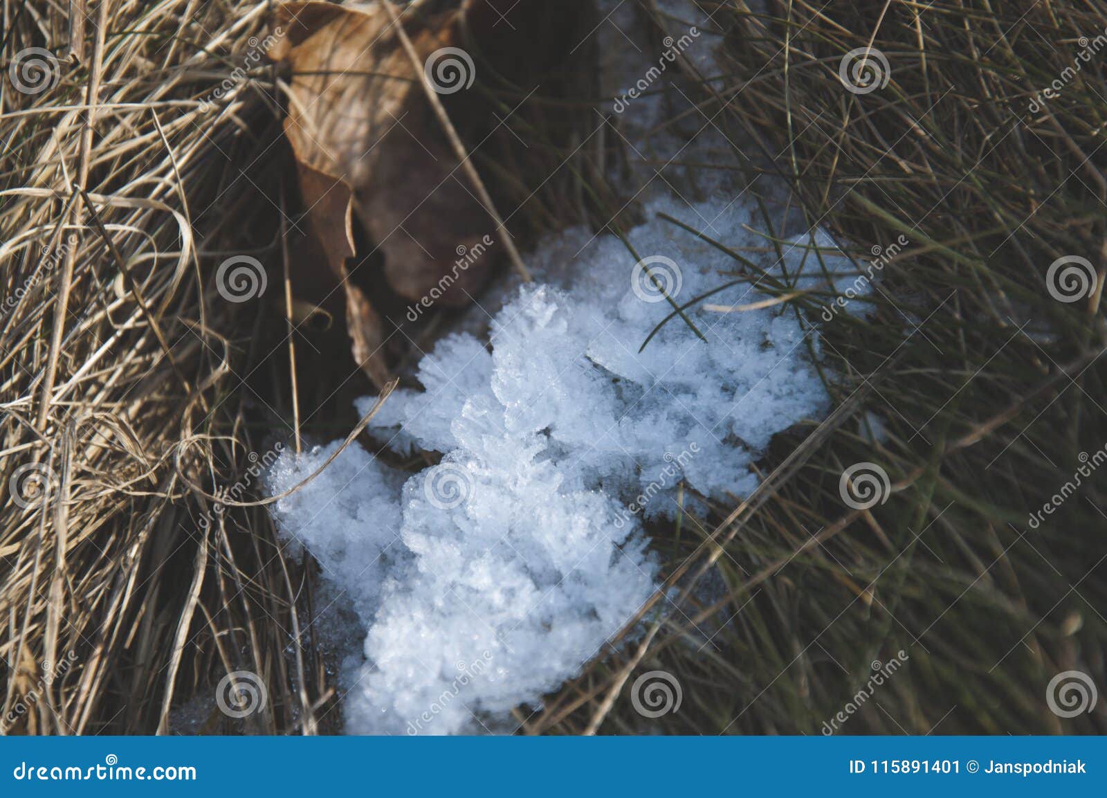 crystalic structure of ice in the grass