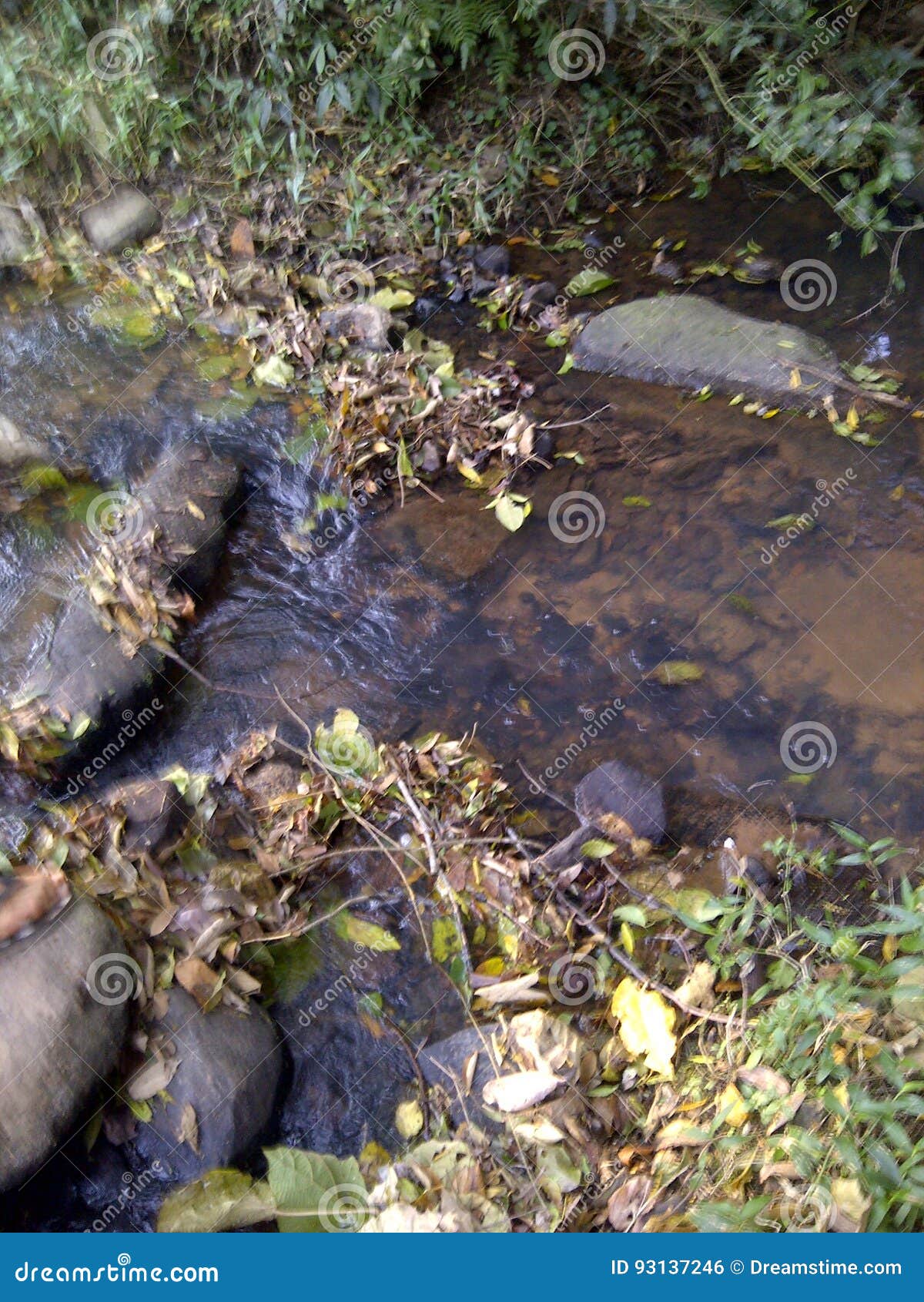 crystalline fresh water, rocky water trail