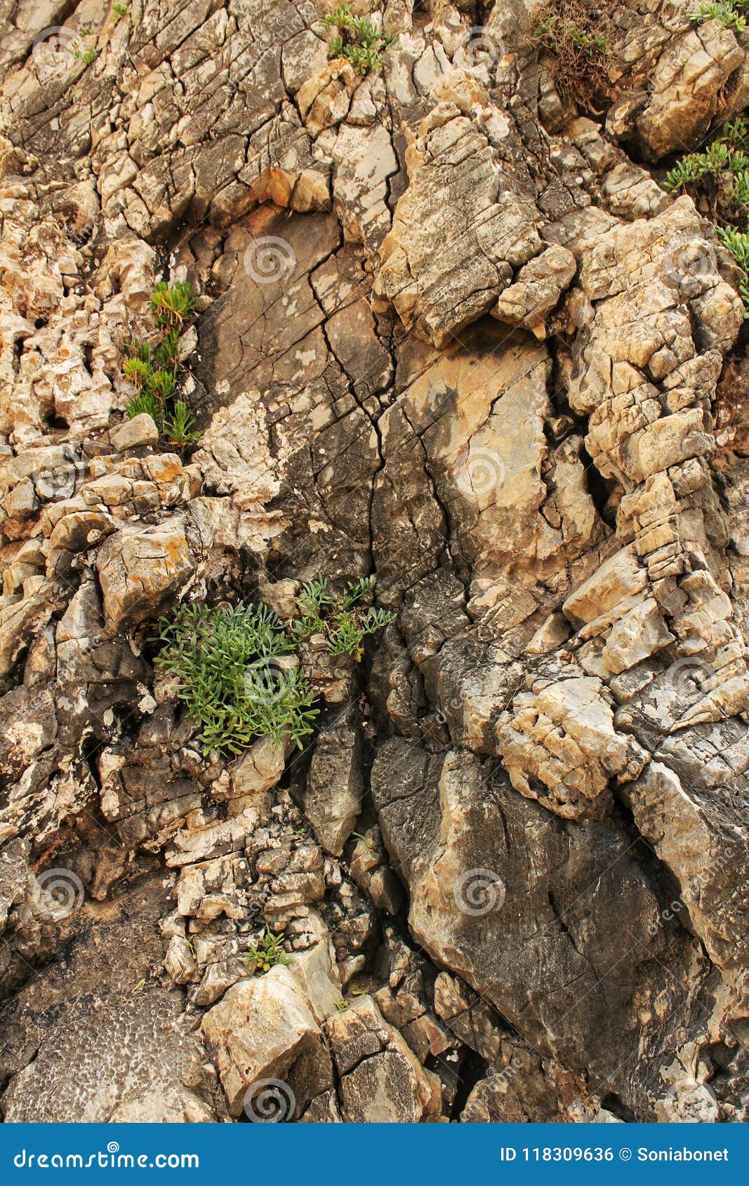 crystalline waters and rock textures of galapinhos beach