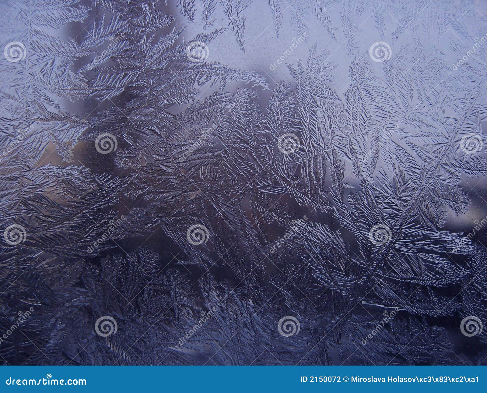 Crystallized ice on glass stock photo. Image of crystallisation 2150072