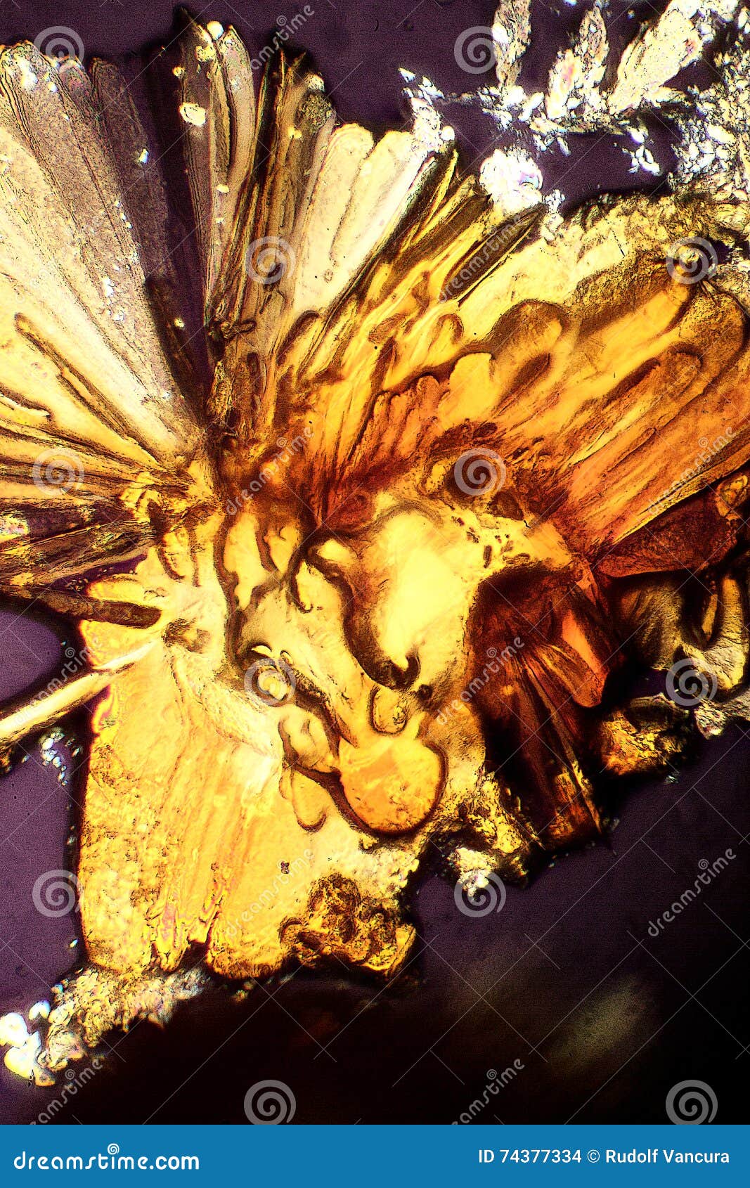 Crystallized Sugar, heated stock photo. Image of microscope 74377334