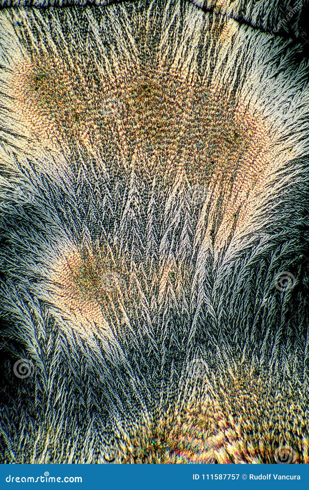 Crystallized Vitamin C stock image. Image of microscope 111587757
