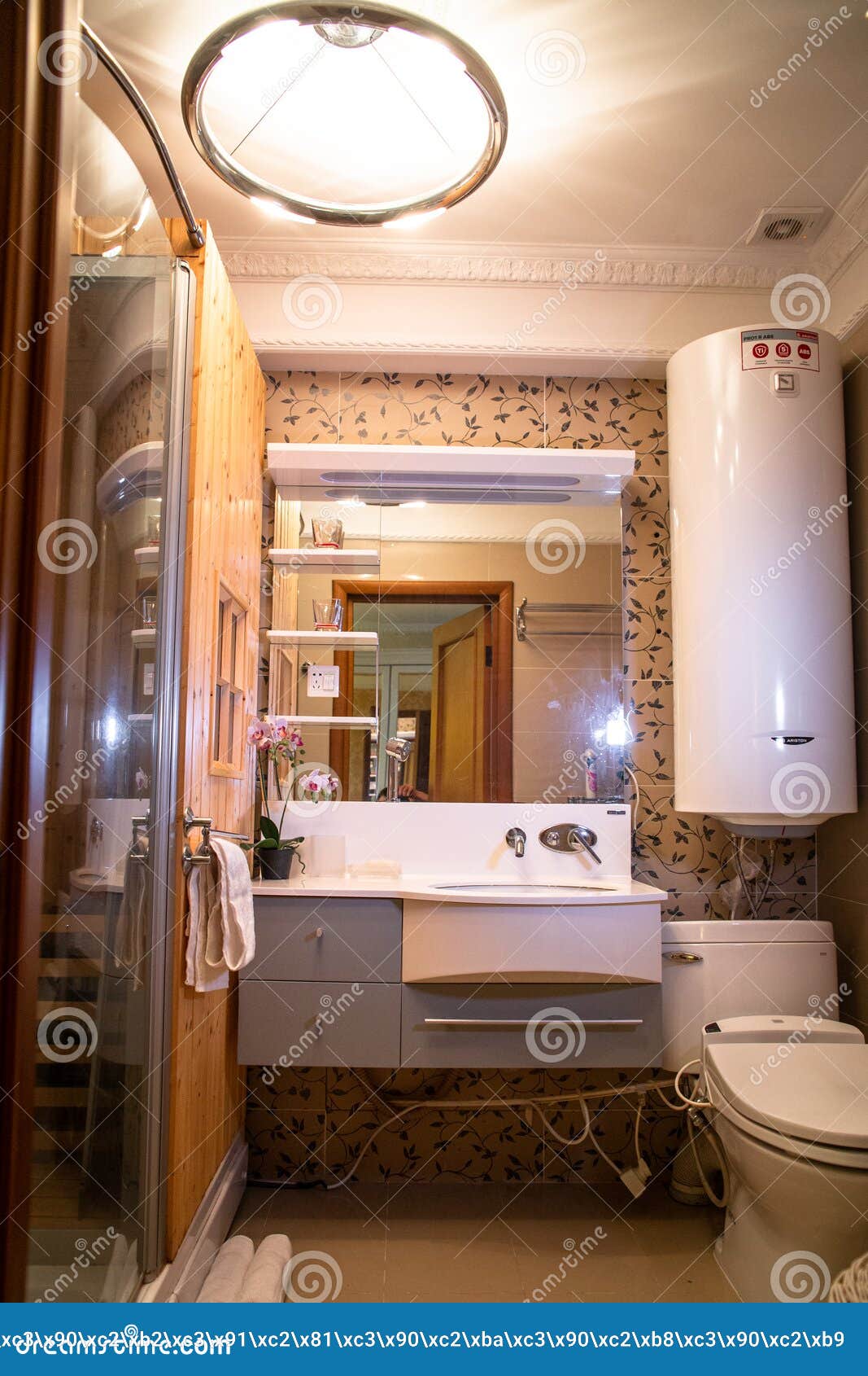 Cuarto De Baño Con Ducha, Inodoro Y Lavabo. Habitación Estándar Del Hotel.  Interior Simple Y Elegante. Luz Interior Fotos, retratos, imágenes y  fotografía de archivo libres de derecho. Image 102194513