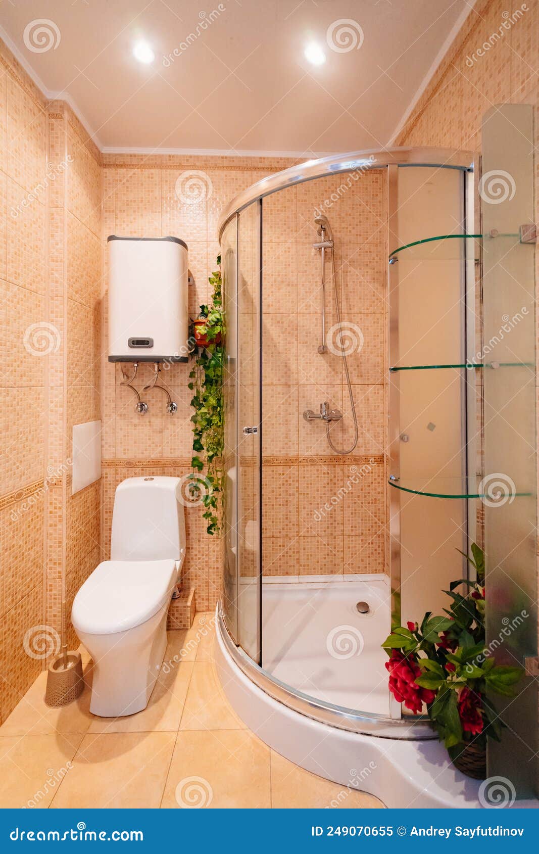 Cuarto De Baño Con Ducha Y Calentador De Agua. Flores En La Decoración.  Imagen de archivo - Imagen de calor, grifo: 249070655