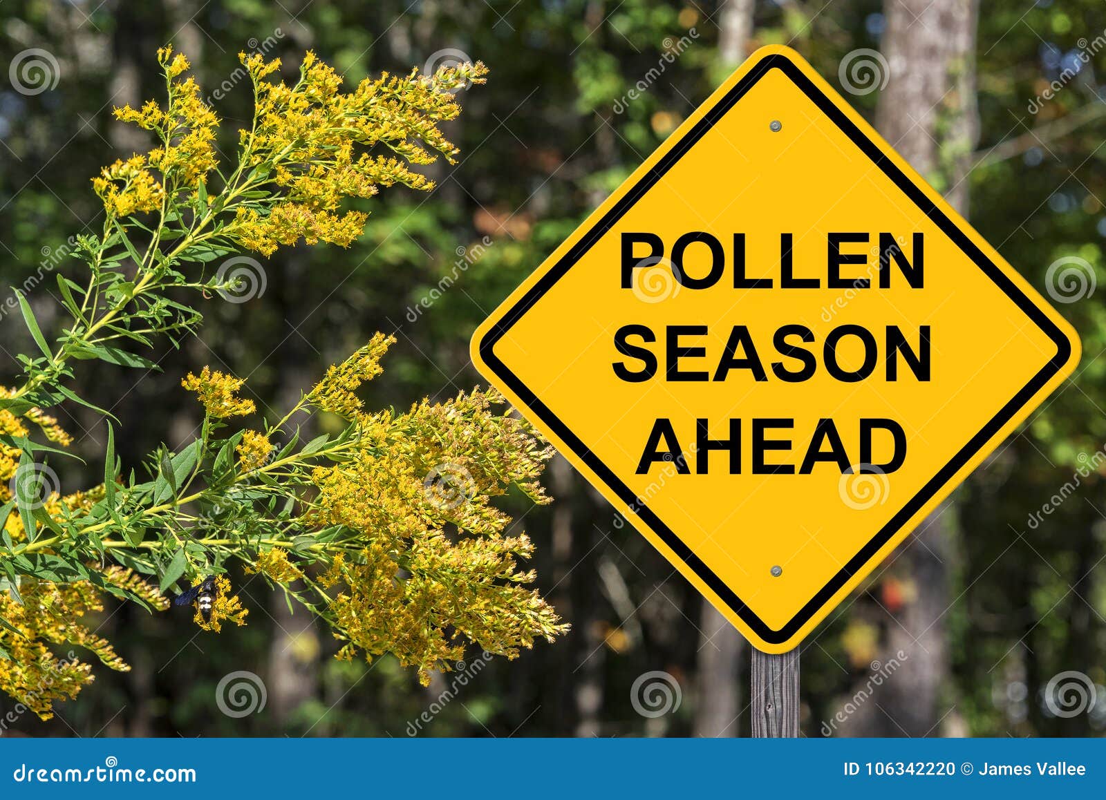 cuation - pollen season ahead