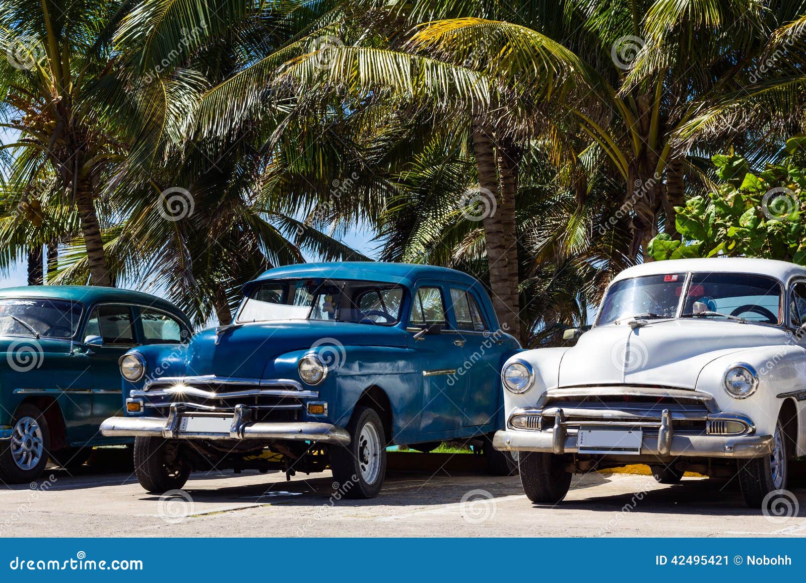 Cuba Amerikaanse Oldtimers Onder Palmen Stock Afbeelding - Image of