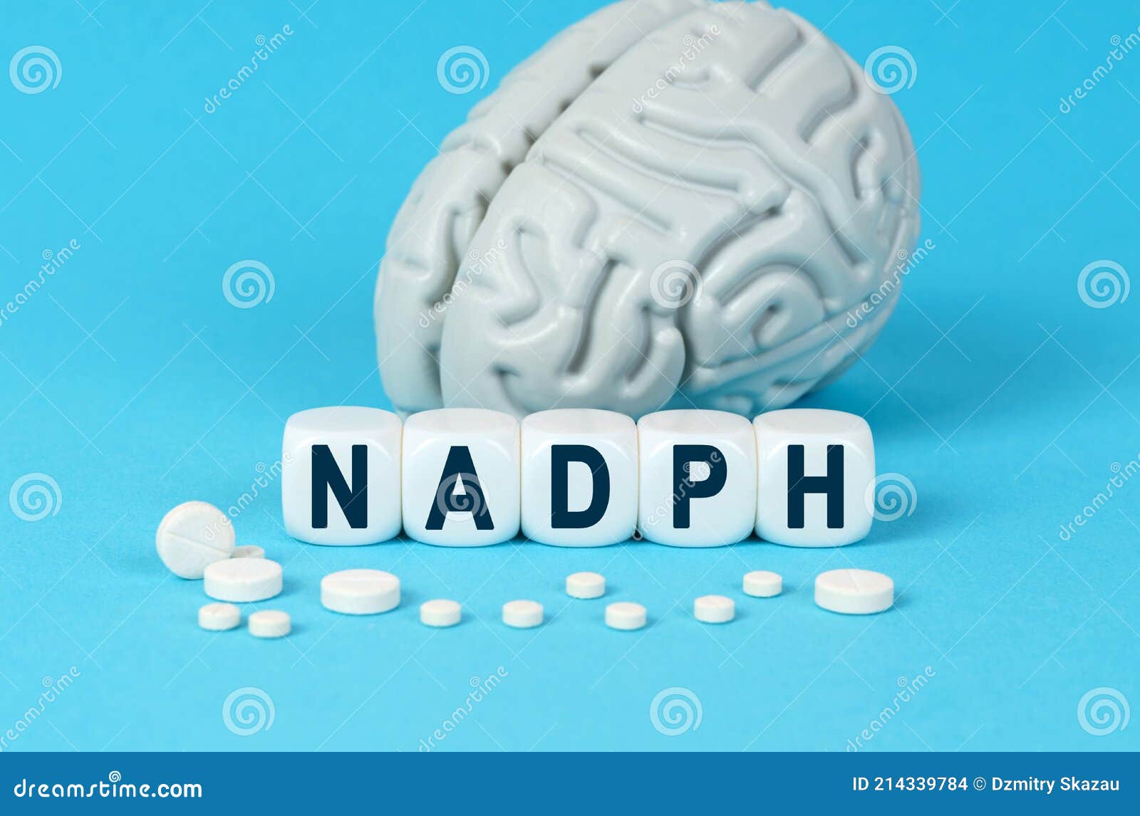 cubes lie on the table among the pills and imitation of the brain. the text on the dice - nadph