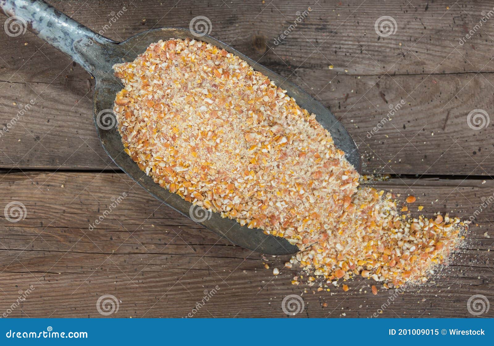 cuchara pala con maiz partido para alimentar animales