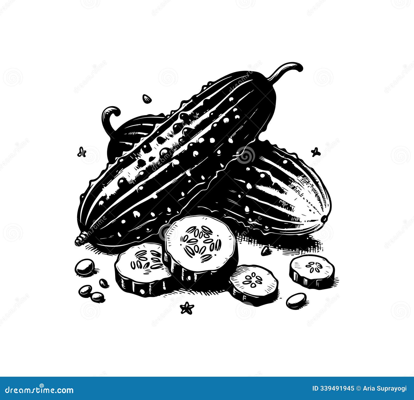 cucumber hand drawn  graphic asset