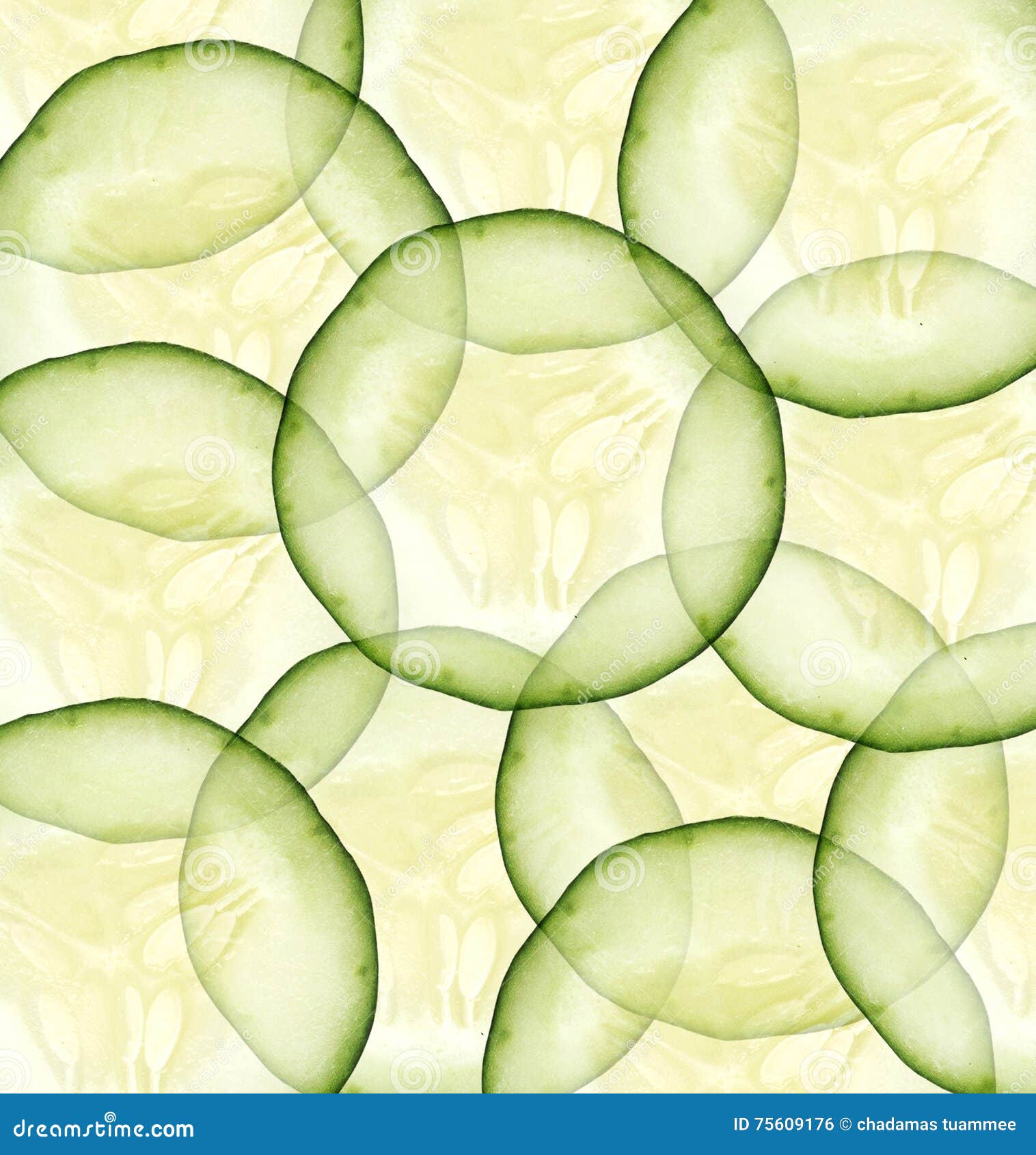 Cucumber Health Benefits Promote Hair and Nail Growth, Cures Hangover and Bad Breath, Reduce Weight, Skin Care, Promote Joint Heal Stock Photo - Image of ingredient, breath: 75609176 Cucumber Health Benefits Promote Hair and Nail Growth, Cures Hangover and Bad Breath, Reduce Weight, Skin Care, Promote Joint Heal Stock Photo - Image of ingredient, breath: 75609176