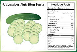 Cucumber Nutrition Facts And Health Benefits Infographic Cartoon Vector 