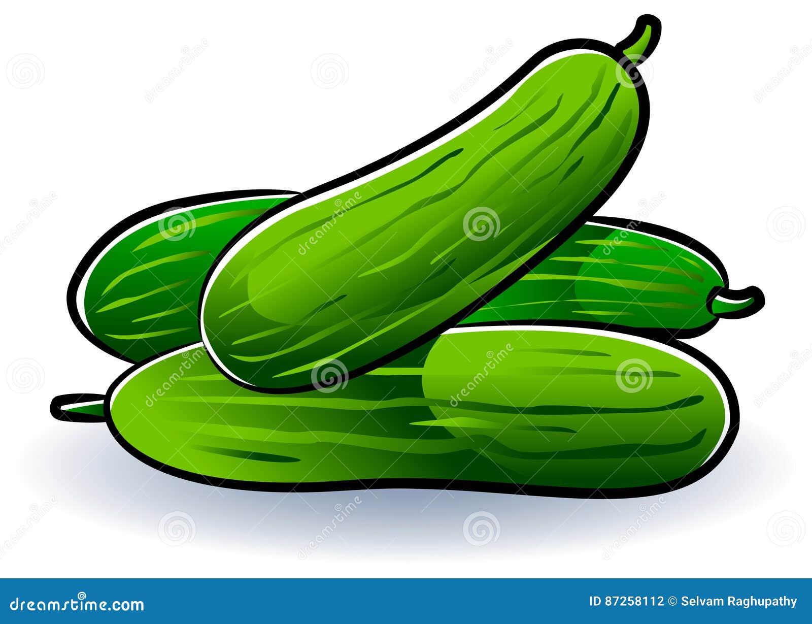 Cucumber stock vector. Illustration of market, health 87258112