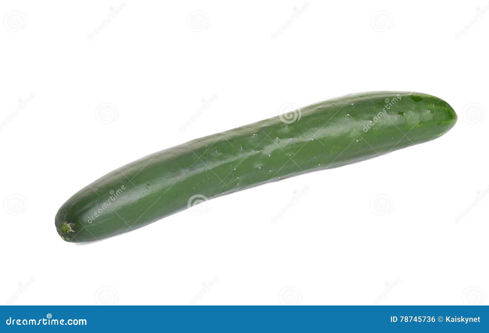 Cucumber on White Background. Stock Photo Image of green, chopped