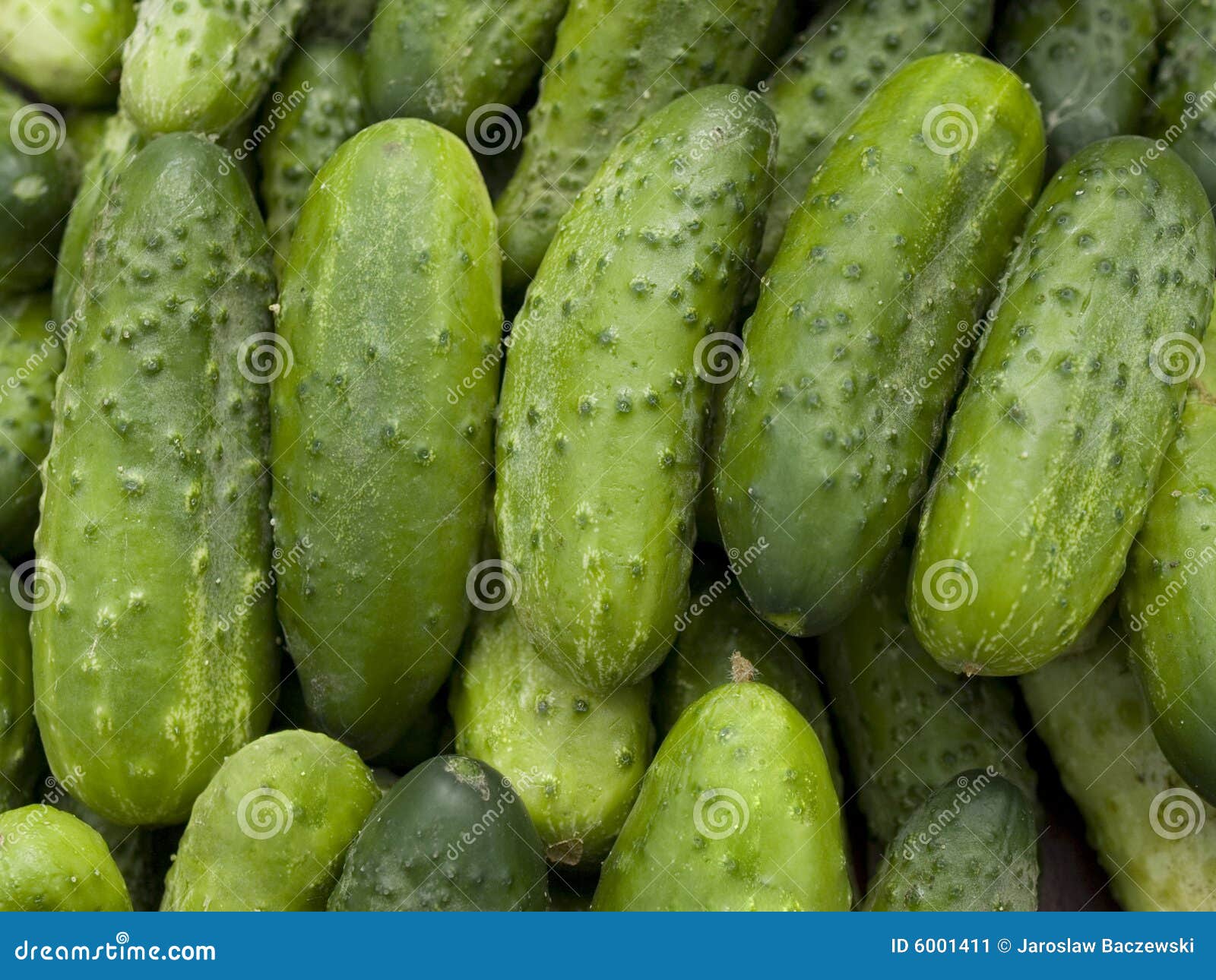 293,161 Organic Cucumber Stock Photos - Free & Royalty-Free Stock Photos  from Dreamstime