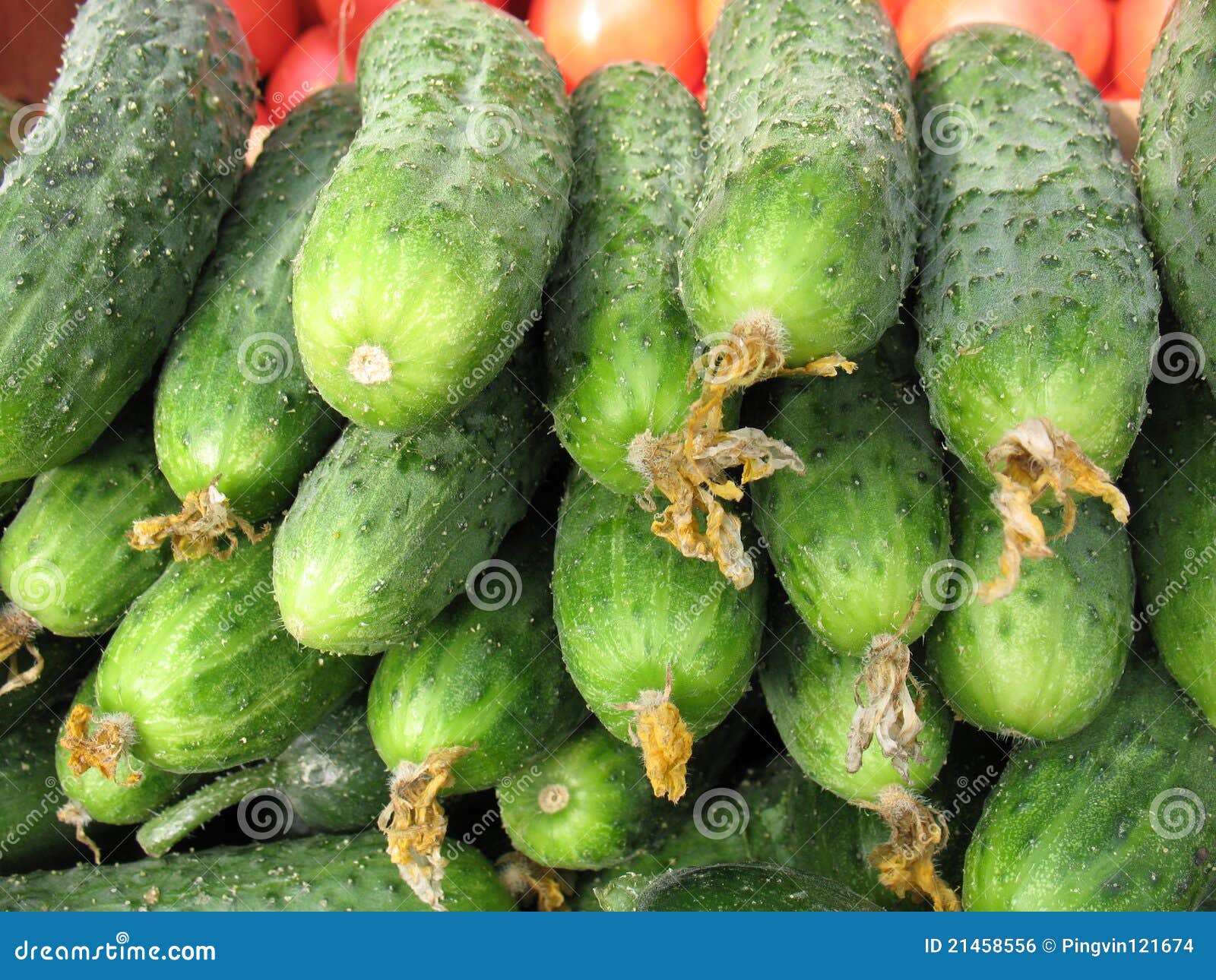Cucumbers for sale stock photo. Image of crunchy, detail 21458556