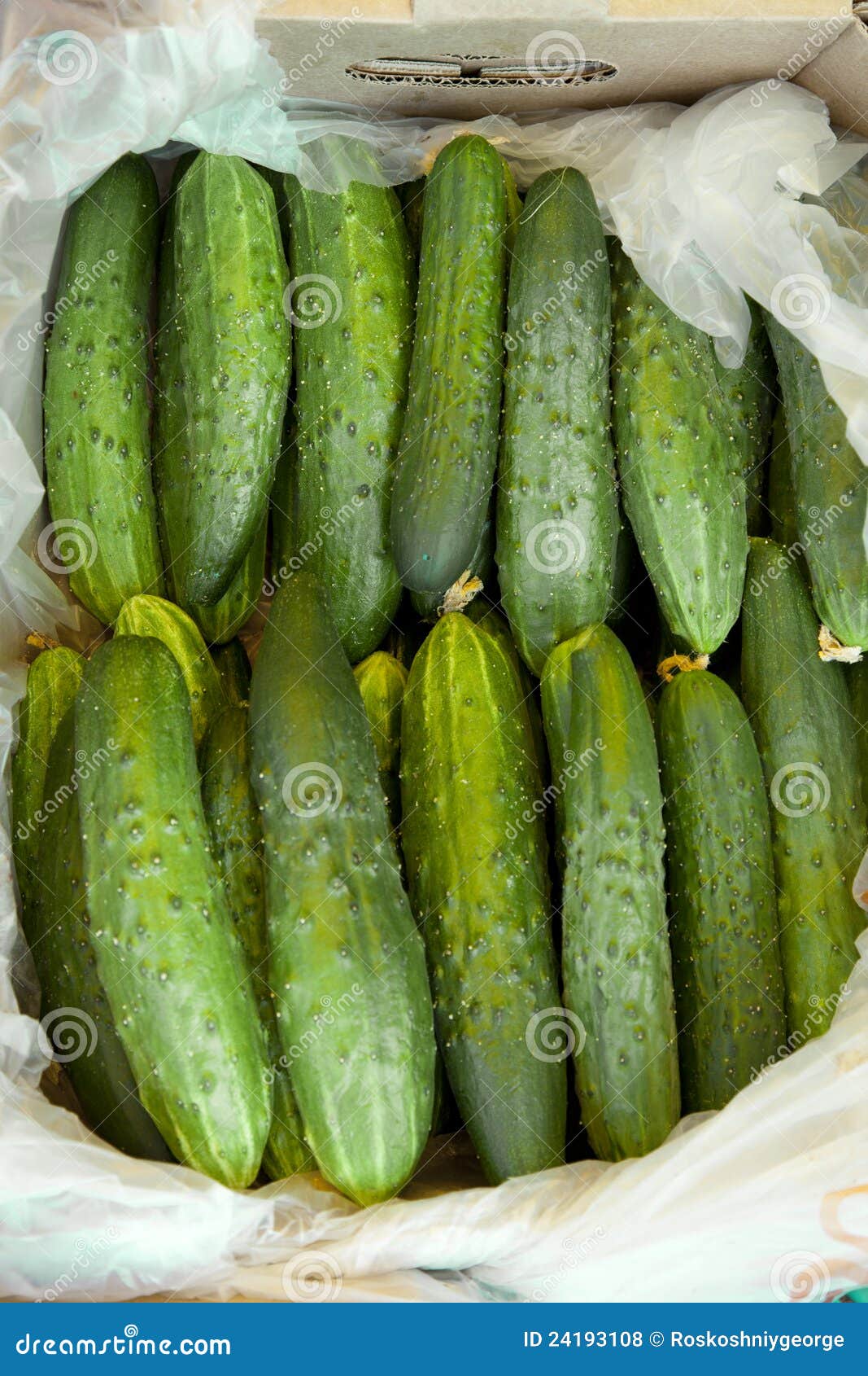 Cucumbers for Sale at Market Stock Photo Image of food, fresh 24193108