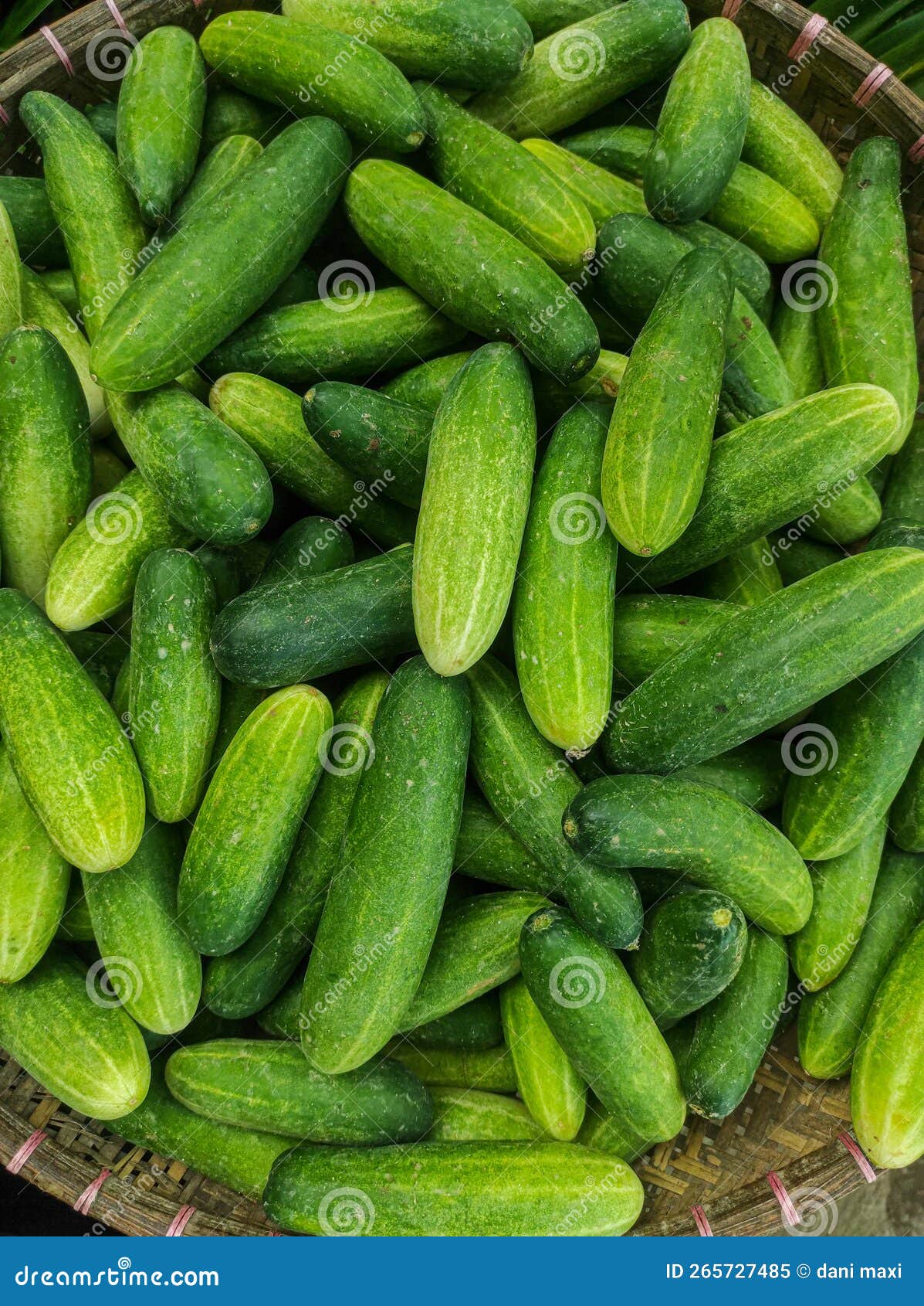 Cucumbers in the Traditional Market Stock Image Image of food, leaf