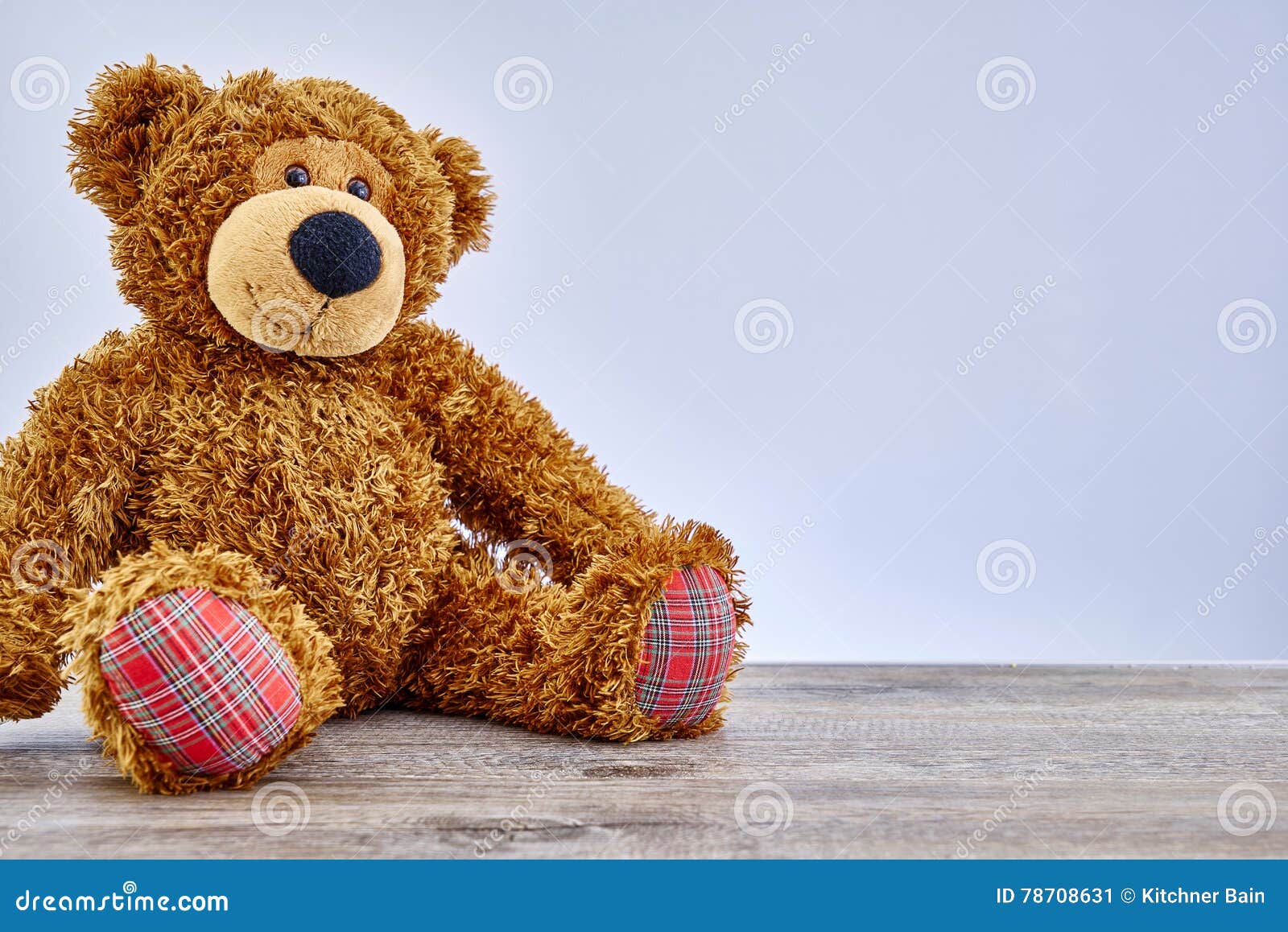 Cuddly Toy Bear stock image. Image of soft, plush, cute 78708631