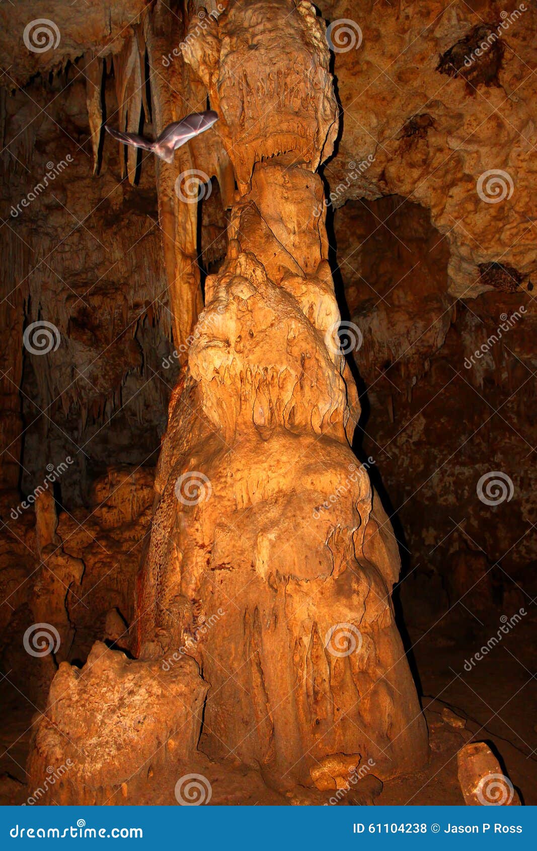 cueva del viento puerto rico