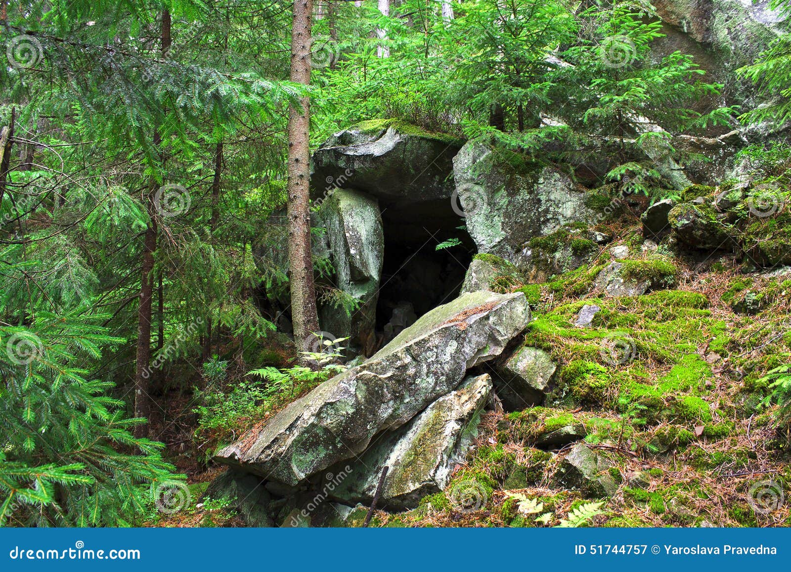 Cueva En El Bosque Imagen De Archivo Imagen De Maderas 51744757