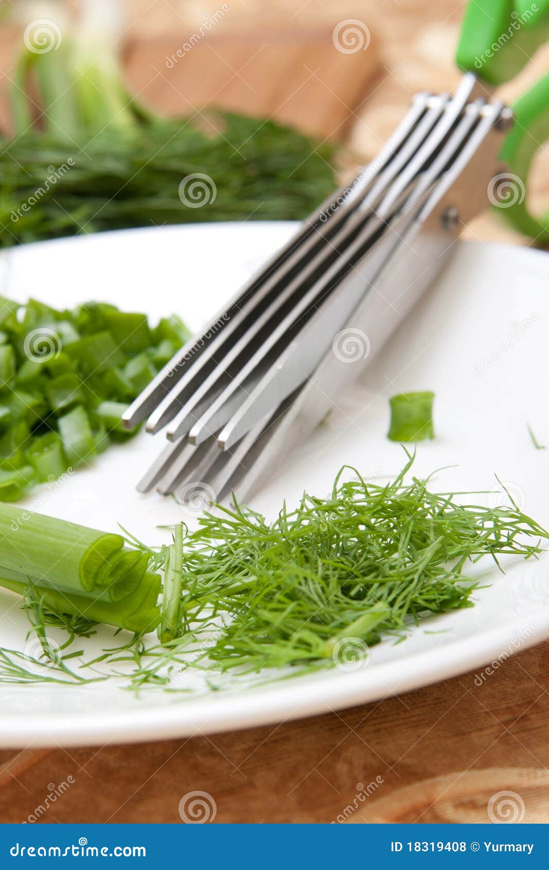 Culinary Scissors for Chopping Greens Stock Photo Image of subject
