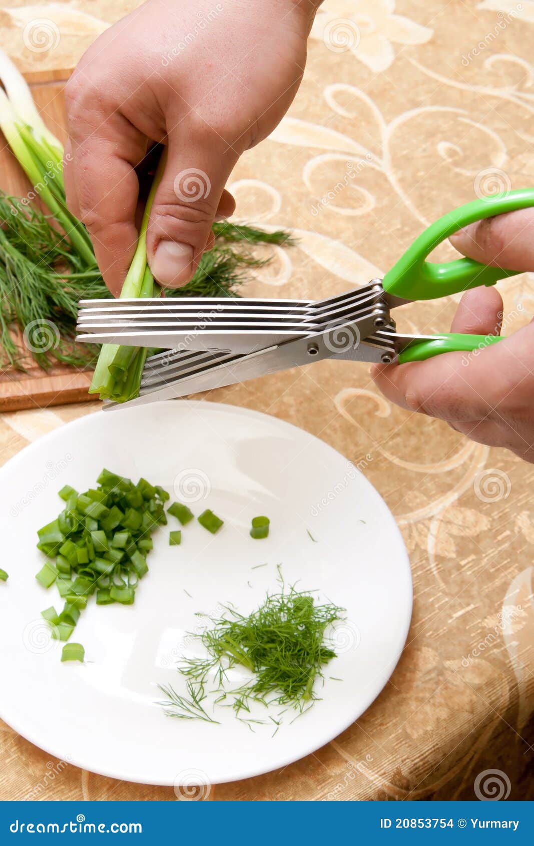 Culinary Scissors for Chopping Greens Stock Photo Image of holiday