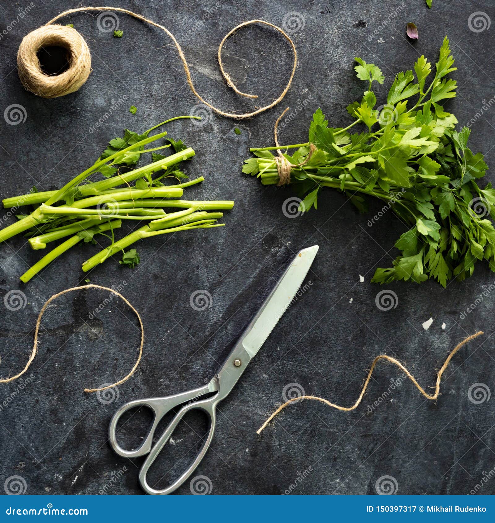Culinary Scissors and Sliced or Chopped in Small Pieces Roped Herbs or