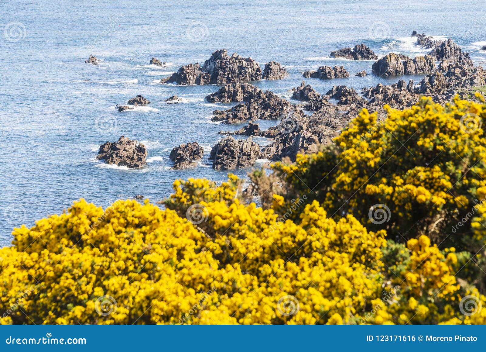 cullen coastside views in a clear day