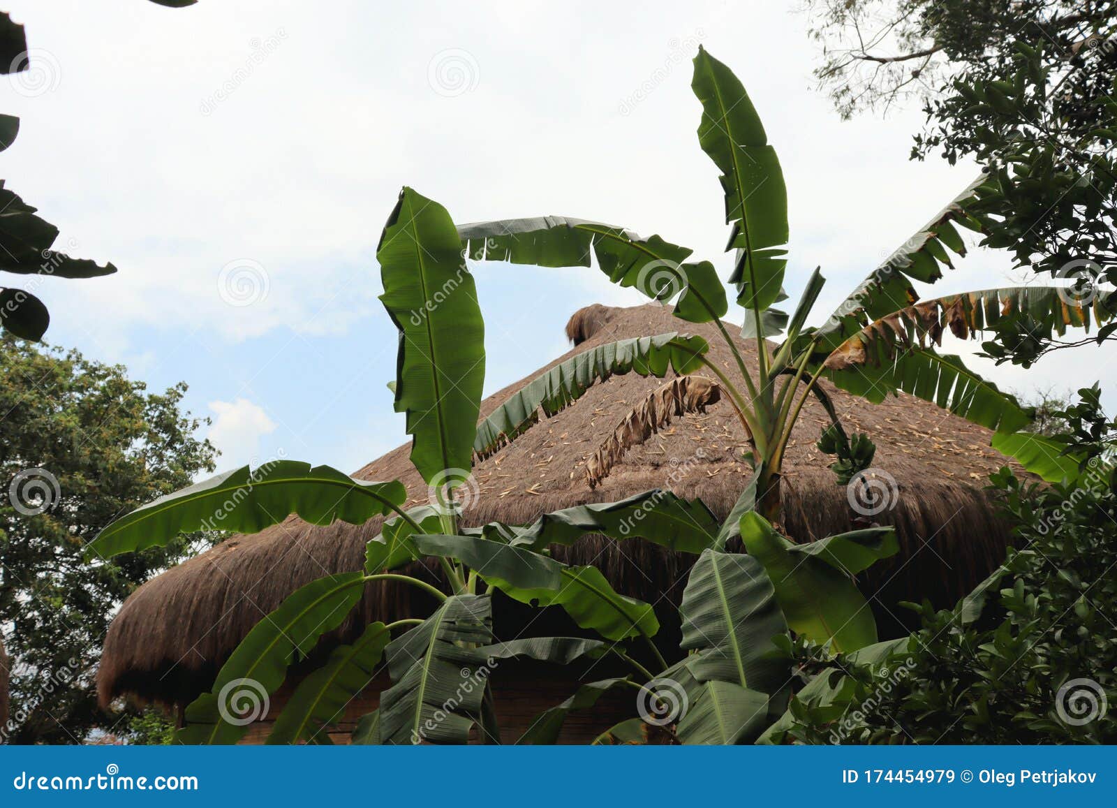 house of bamboo and shingles