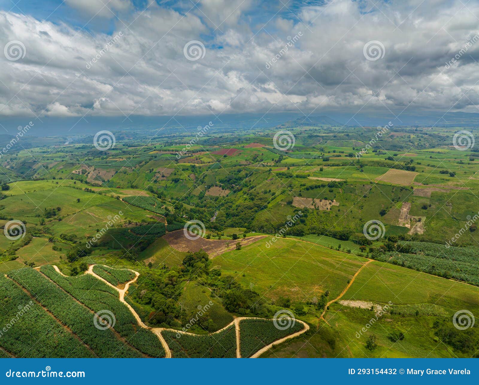 1,148 Mindanao Forest Stock Photos - Free \u0026 Royalty-Free Stock Photos from  Dreamstime, image size:1600x1288