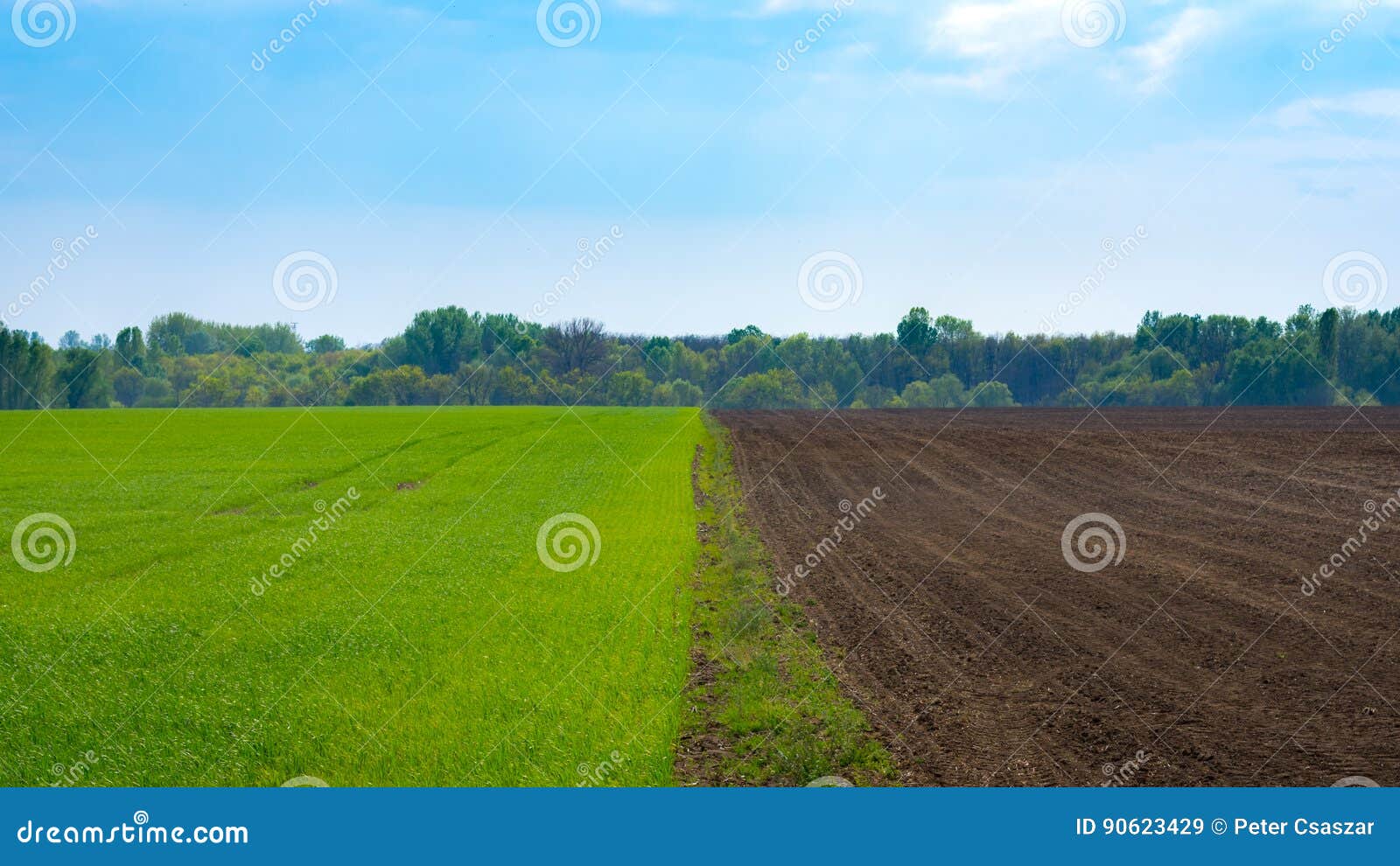 Cultivated field border stock image. Image of farm 90623429