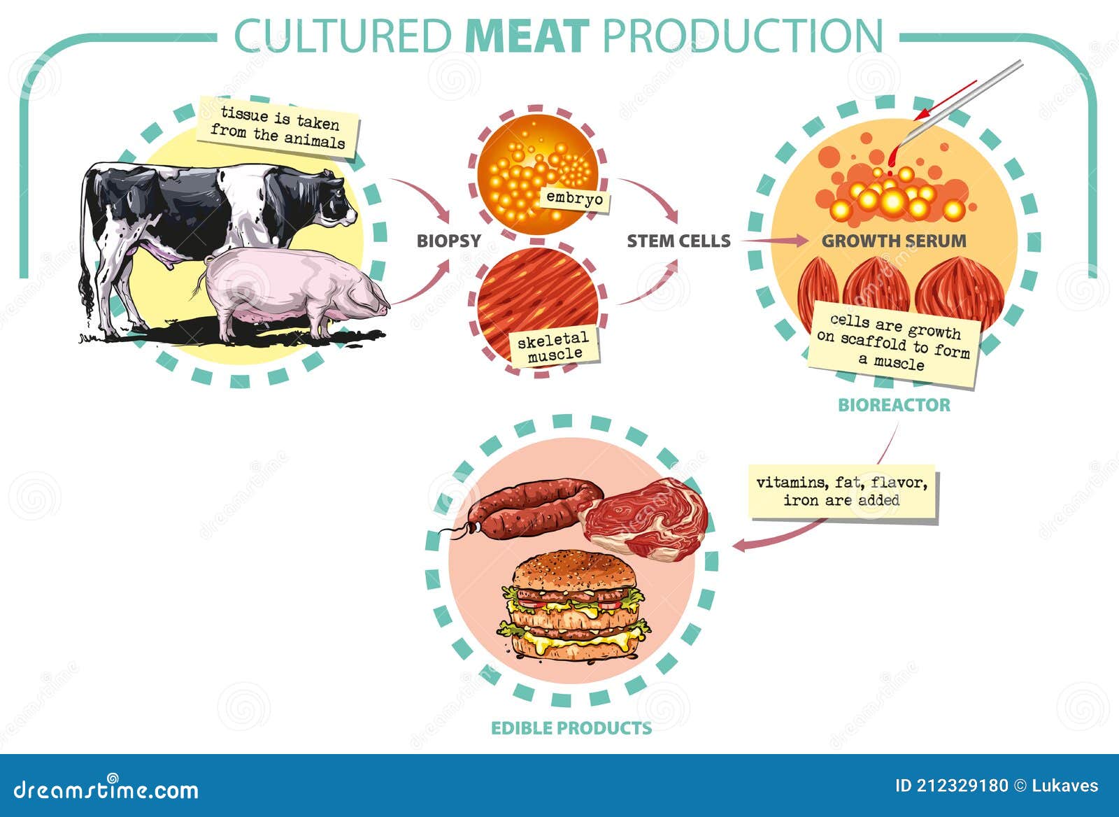 What is cultivated meat?