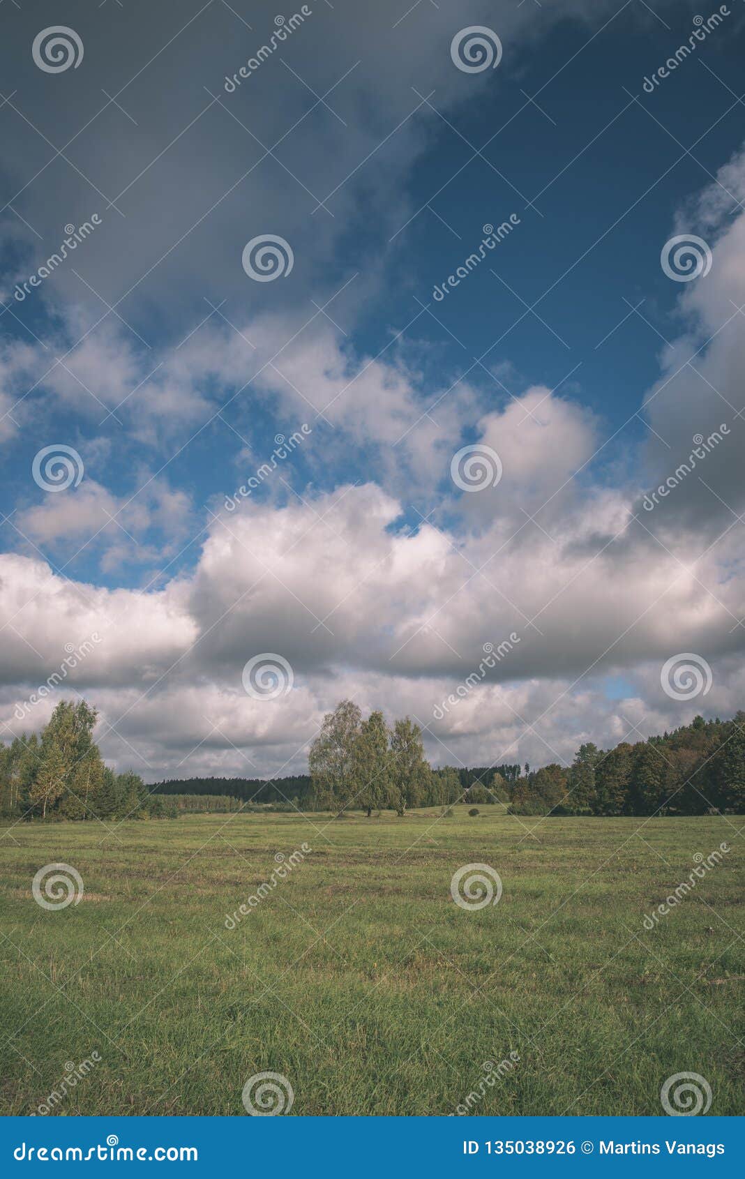 Cultivated Wheat Field in Summer - Vintage Retro Look Stock Photo ...