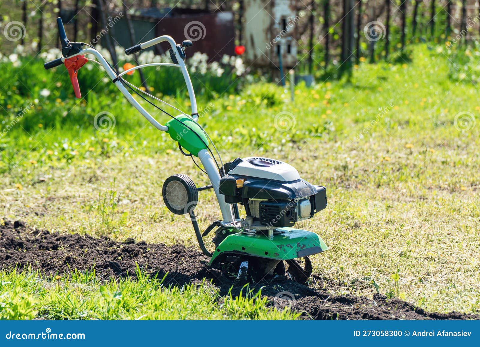 Cultivator for Cultivating the Soil in the Garden Stock Photo Image of equipment, soil 273058300