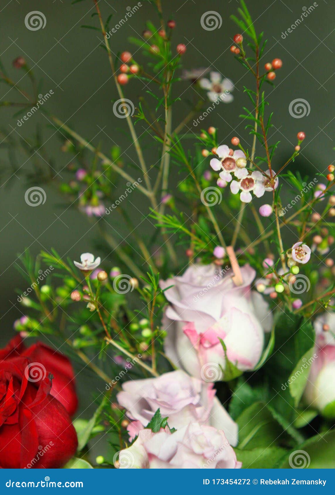 Cultivo De Cera De Rosas Para Bouquet 7978 Foto de archivo - Imagen de  afecto, belleza: 173454272