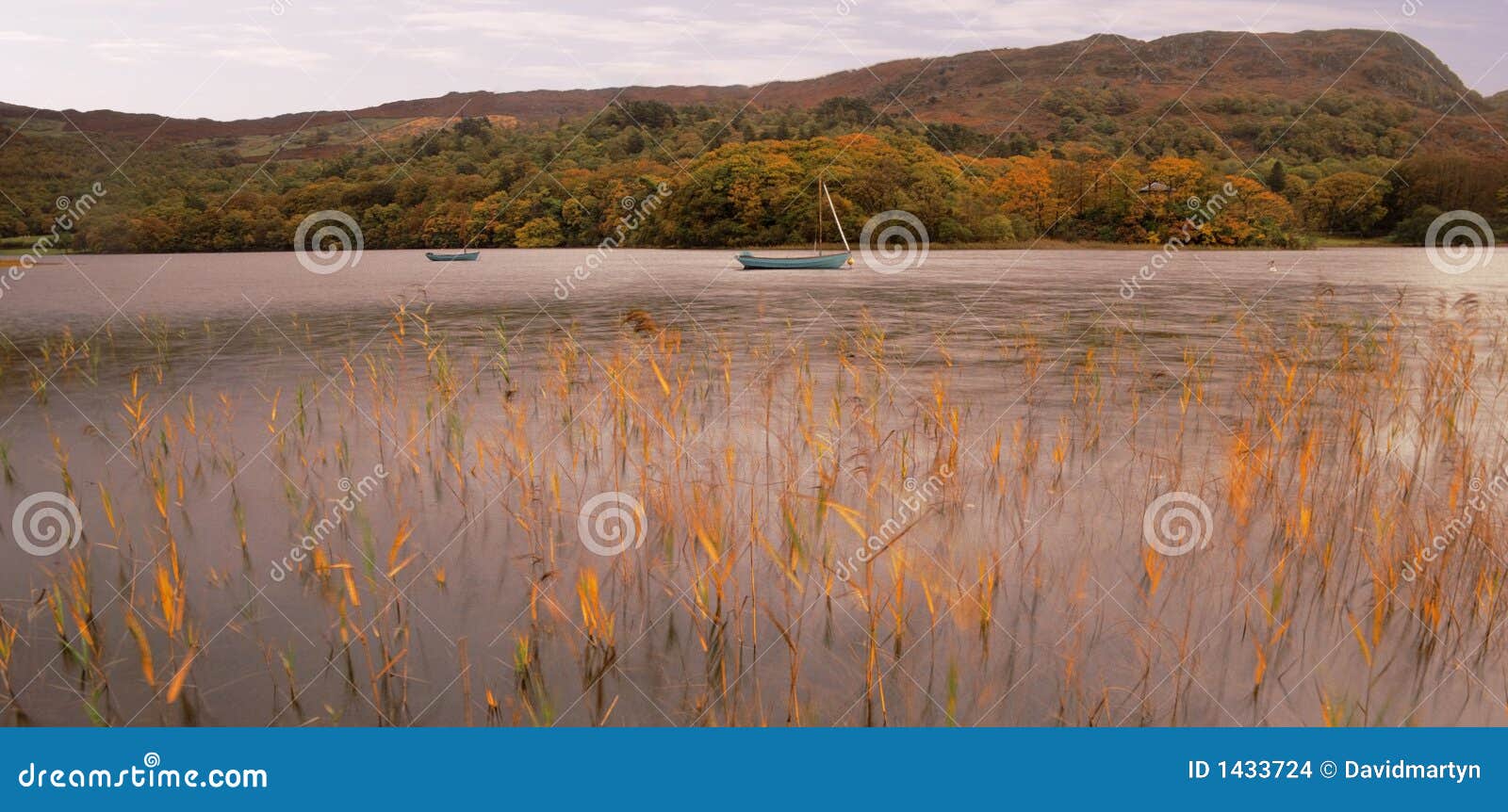 Cumbria van het het districts nationale park van het meer. Van het het districts nationale park van het meer cumbria Engeland het UK