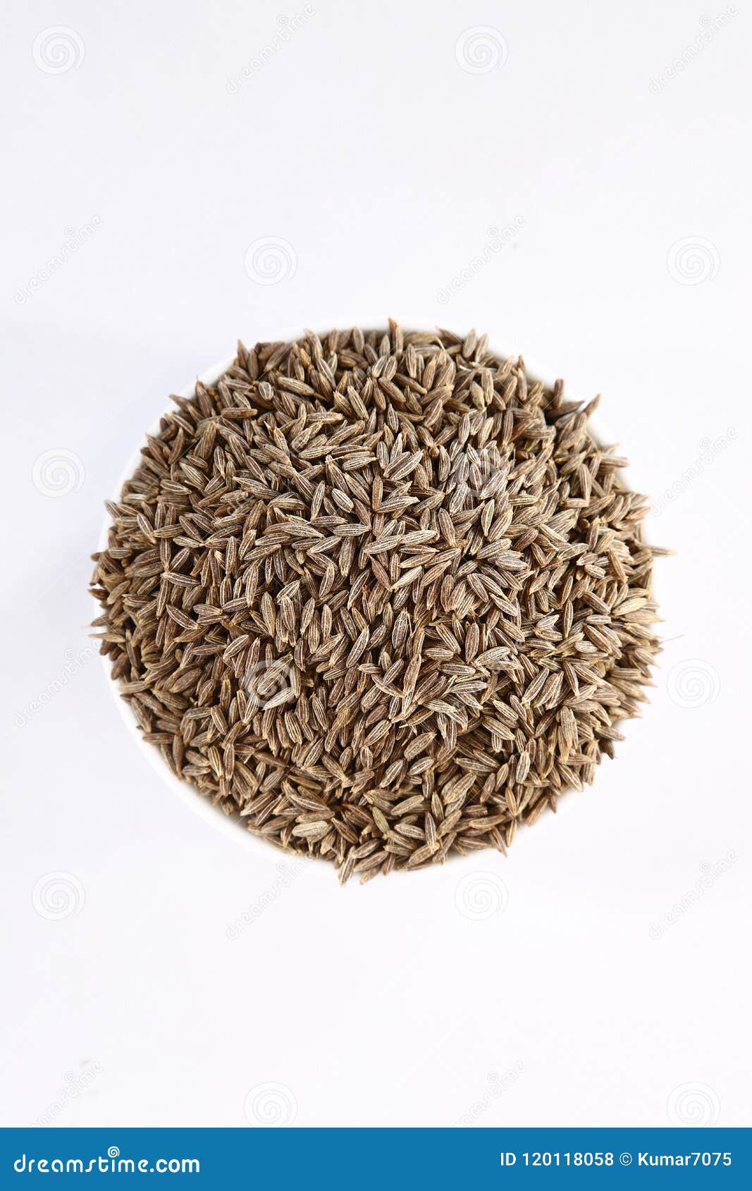 Cumin or Jeera, Indian Spices Stock Photo Image of masala, garam